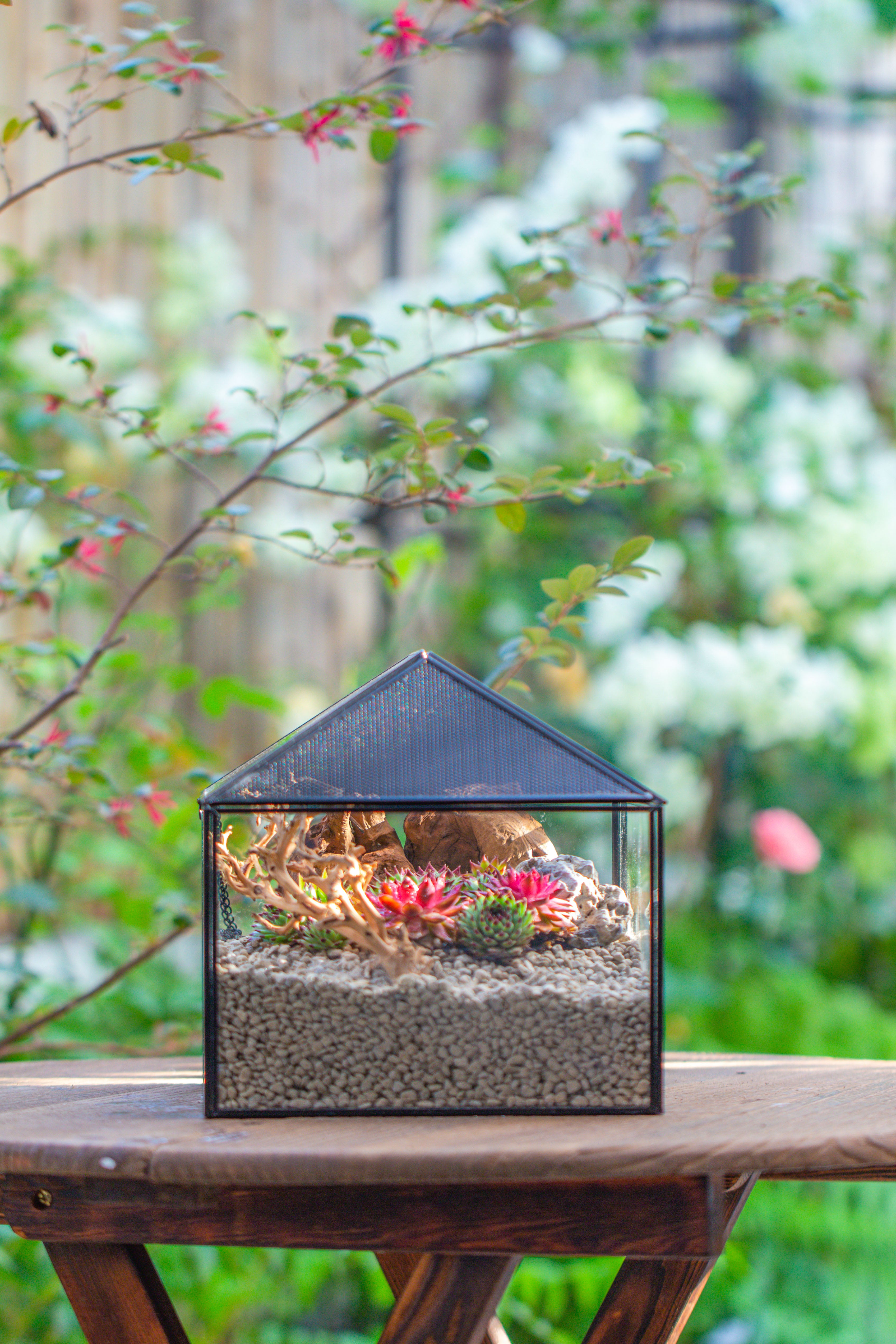 Handmade Medium House Shape Terrarium Enclosure with Mesh Vent for Insects, Terrarium Only - NCYPgarden