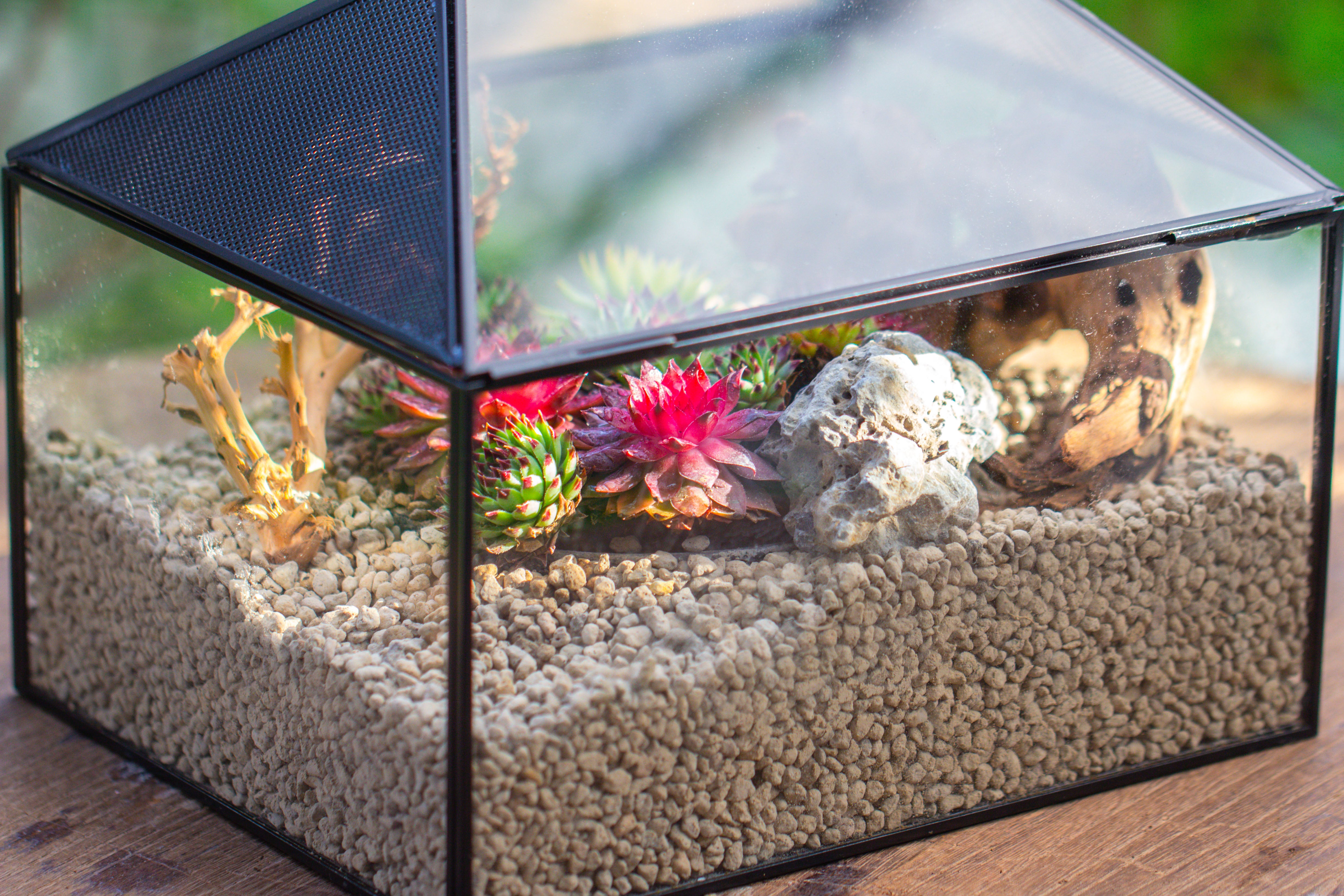 Handmade Medium House Shape Terrarium Enclosure with Mesh Vent for Insects, Terrarium Only - NCYPgarden