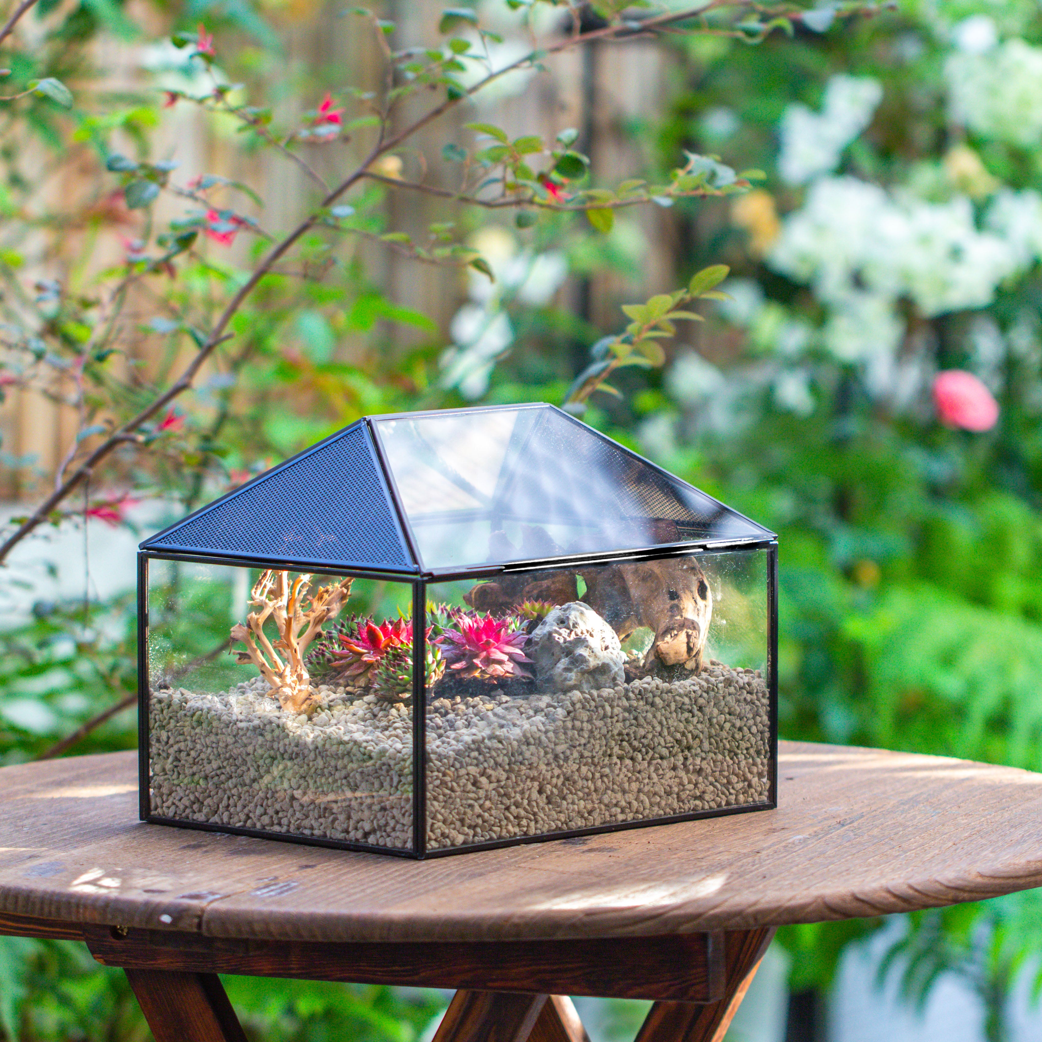 Handmade Medium House Shape Terrarium Enclosure with Mesh Vent for Insects, Terrarium Only - NCYPgarden