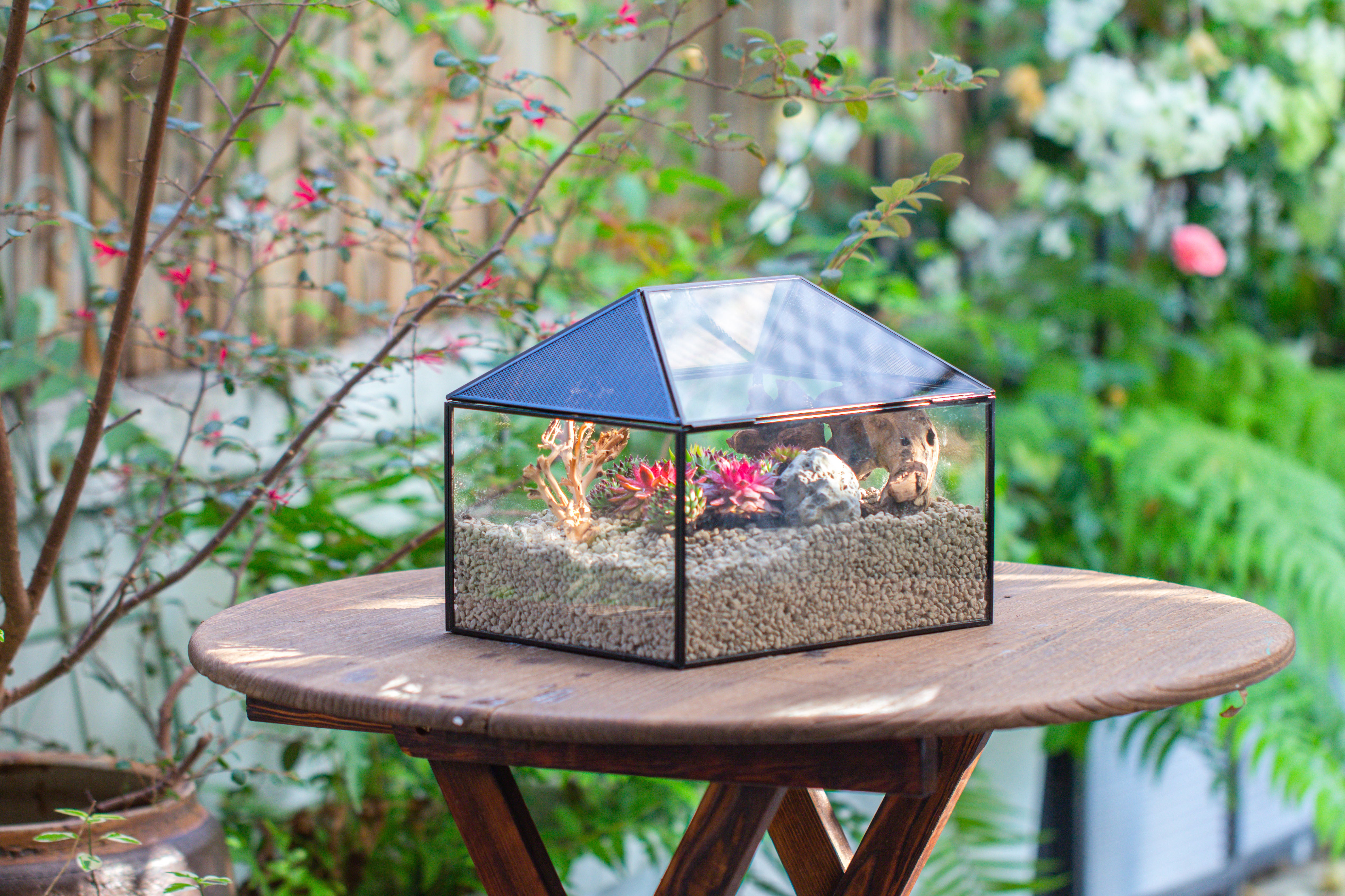 Handmade Medium House Shape Terrarium Enclosure with Mesh Vent for Insects, Terrarium Only - NCYPgarden