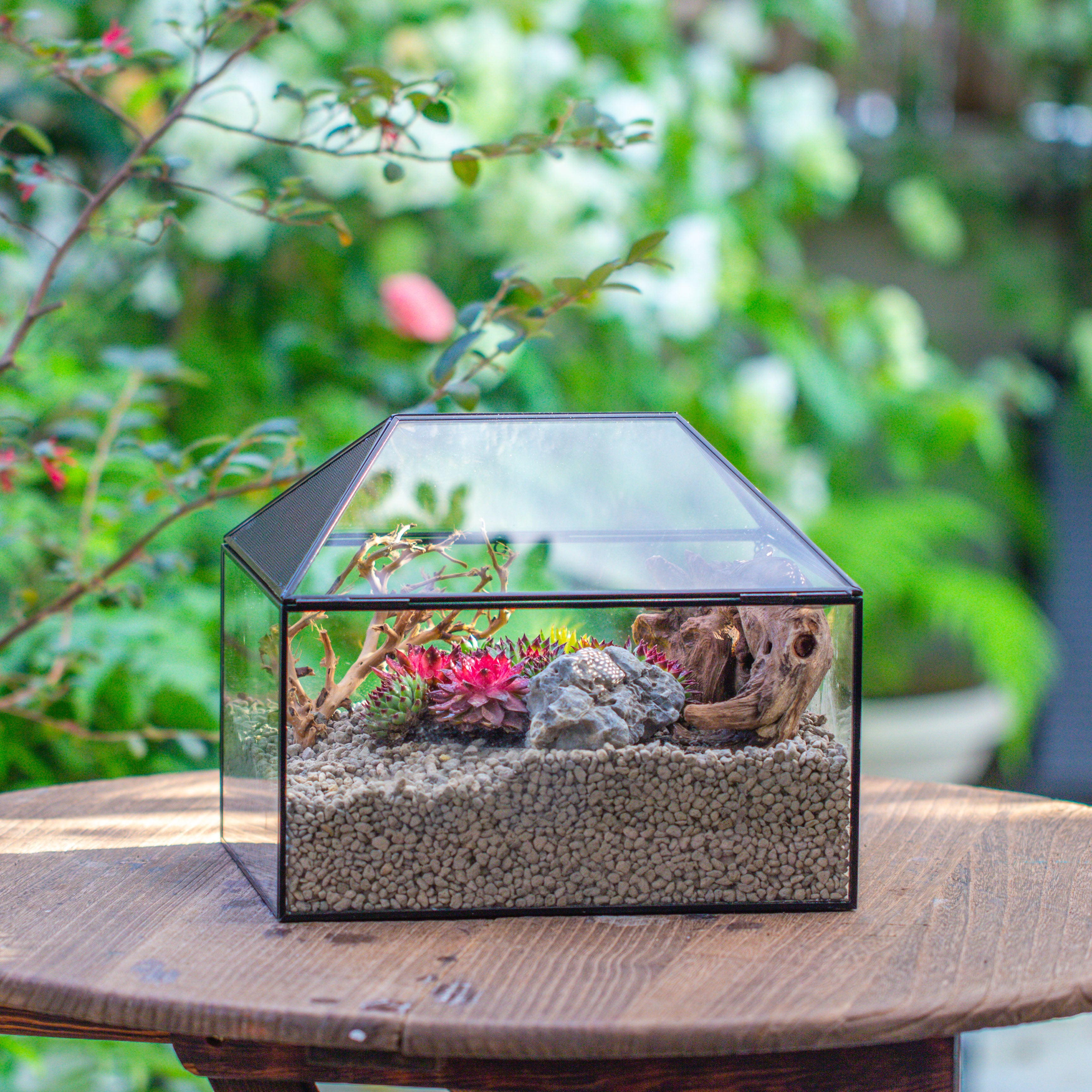 Handmade Medium House Shape Terrarium Enclosure with Mesh Vent for Insects, Terrarium Only - NCYPgarden