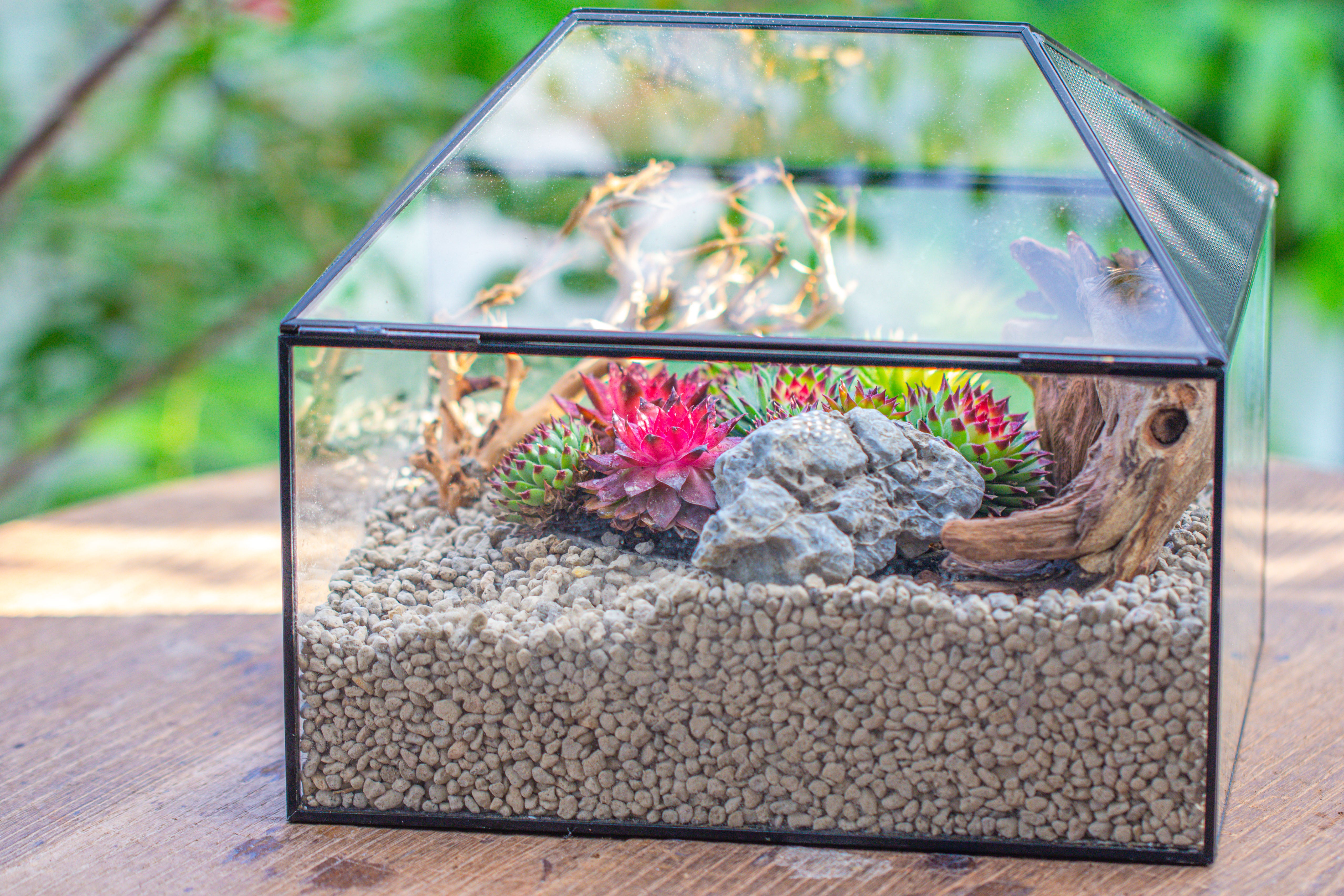 Handmade Medium House Shape Terrarium Enclosure with Mesh Vent for Insects, Terrarium Only - NCYPgarden