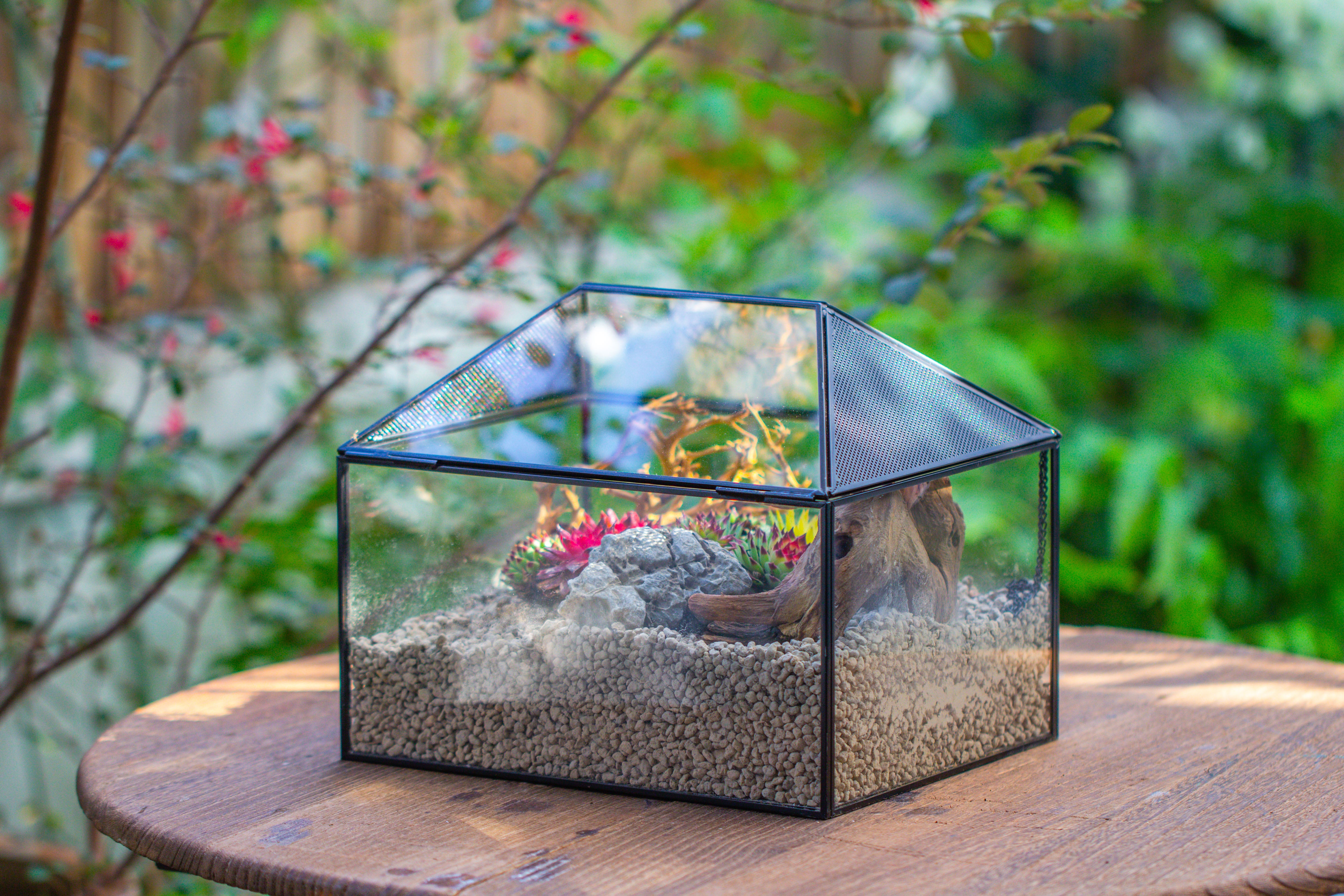 Handmade Medium House Shape Terrarium Enclosure with Mesh Vent for Insects, Terrarium Only - NCYPgarden