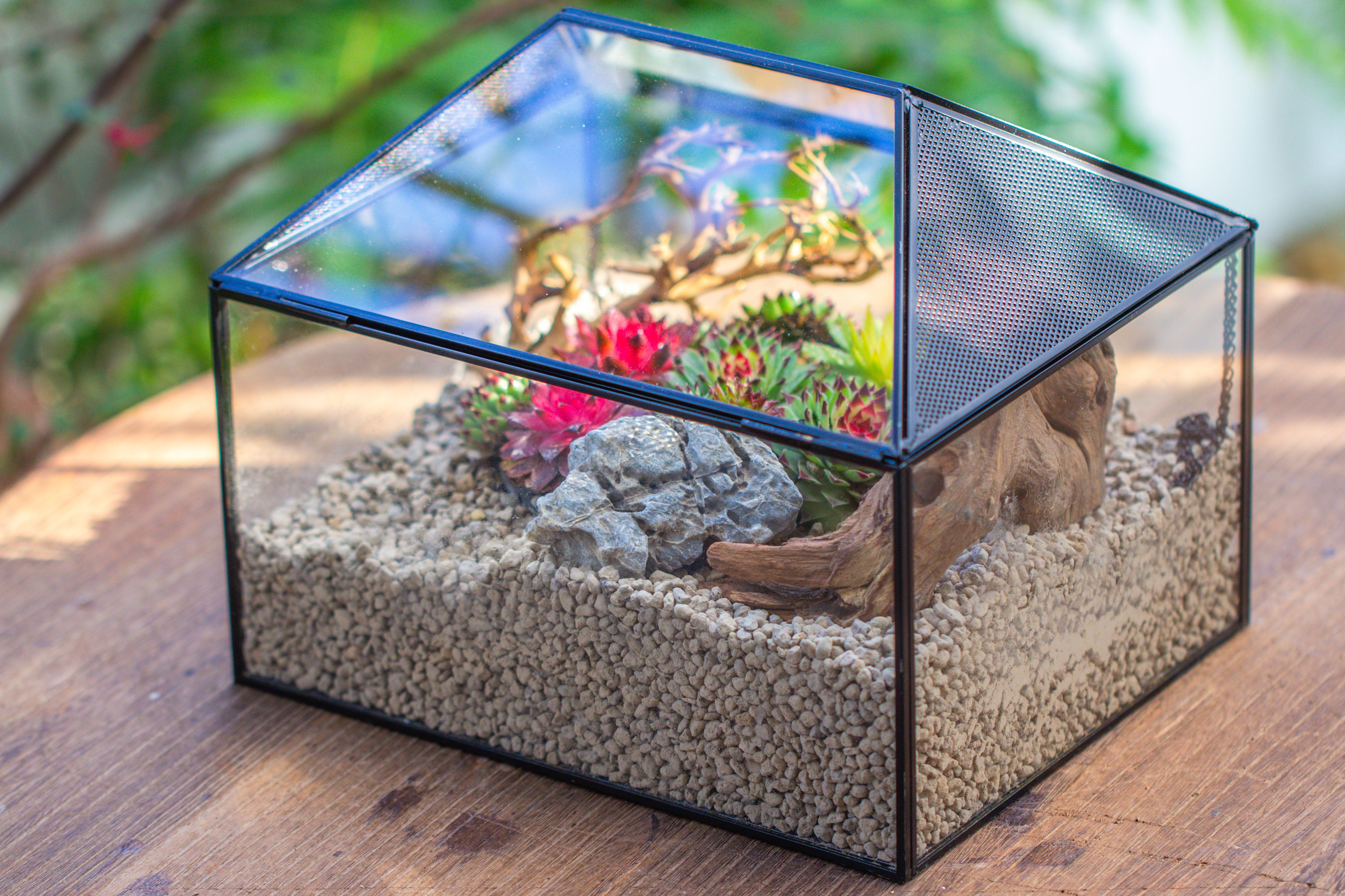 Handmade Medium House Shape Terrarium Enclosure with Mesh Vent for Insects, Terrarium Only - NCYPgarden