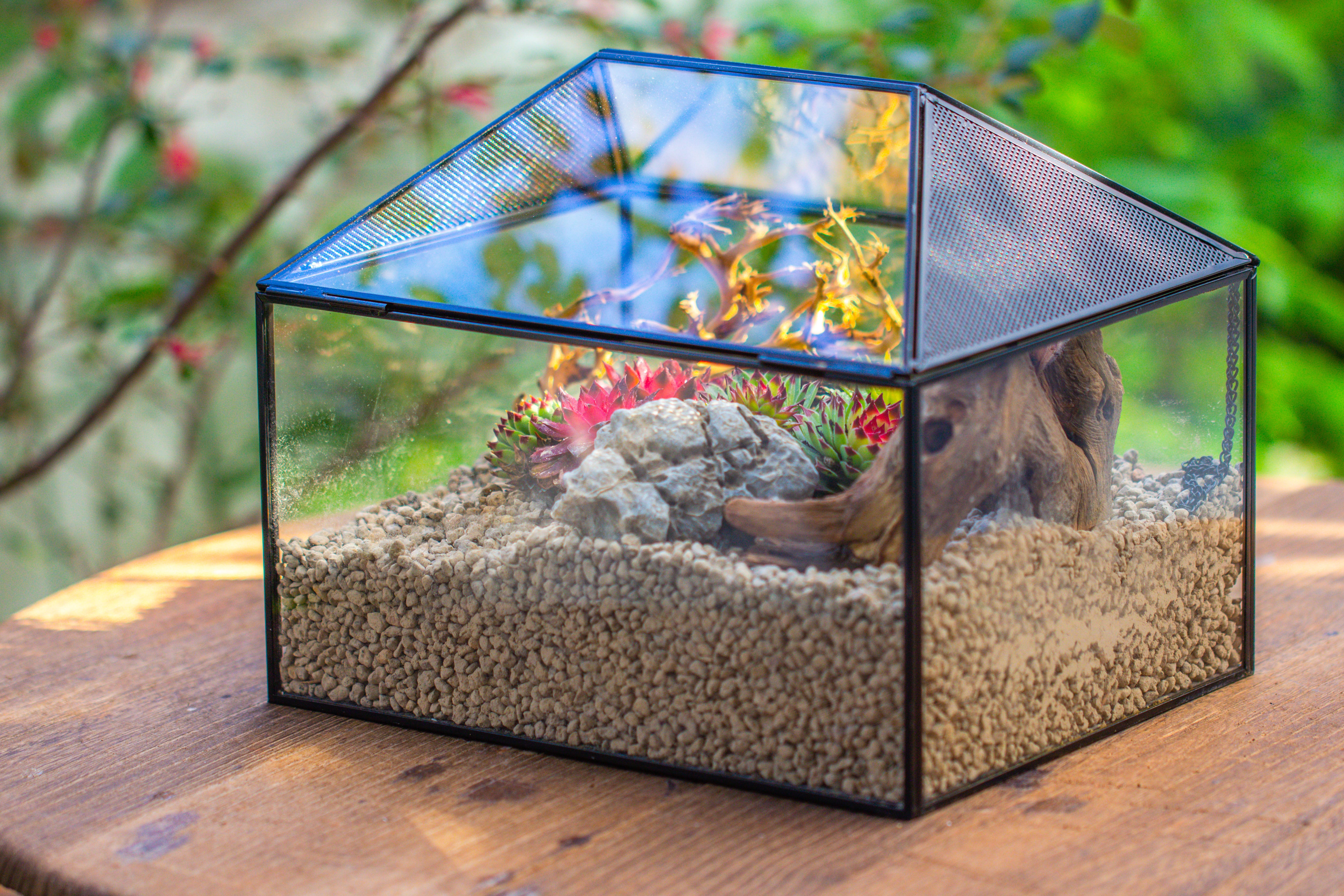 Handmade Medium House Shape Terrarium Enclosure with Mesh Vent for Insects, Terrarium Only - NCYPgarden