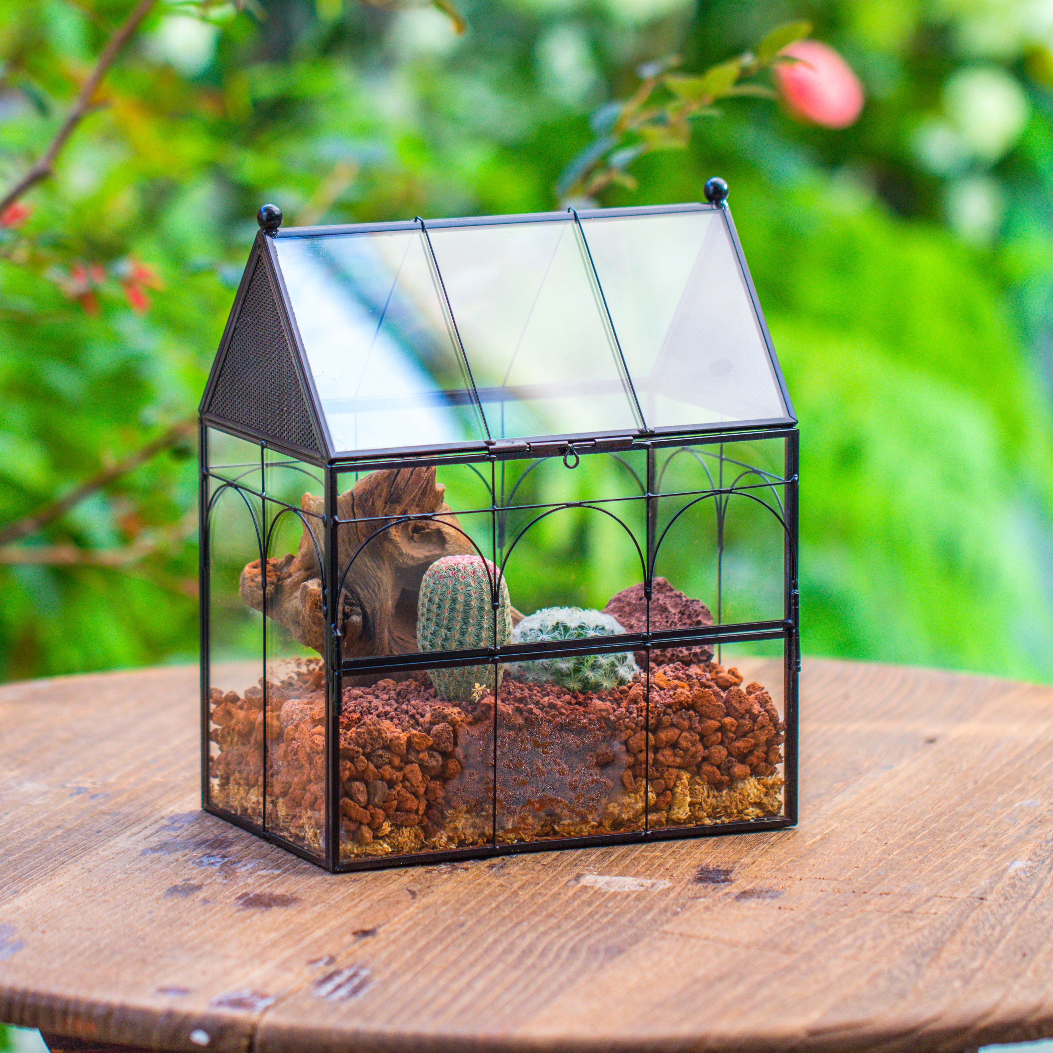 Insects terrariums – NCYPgarden