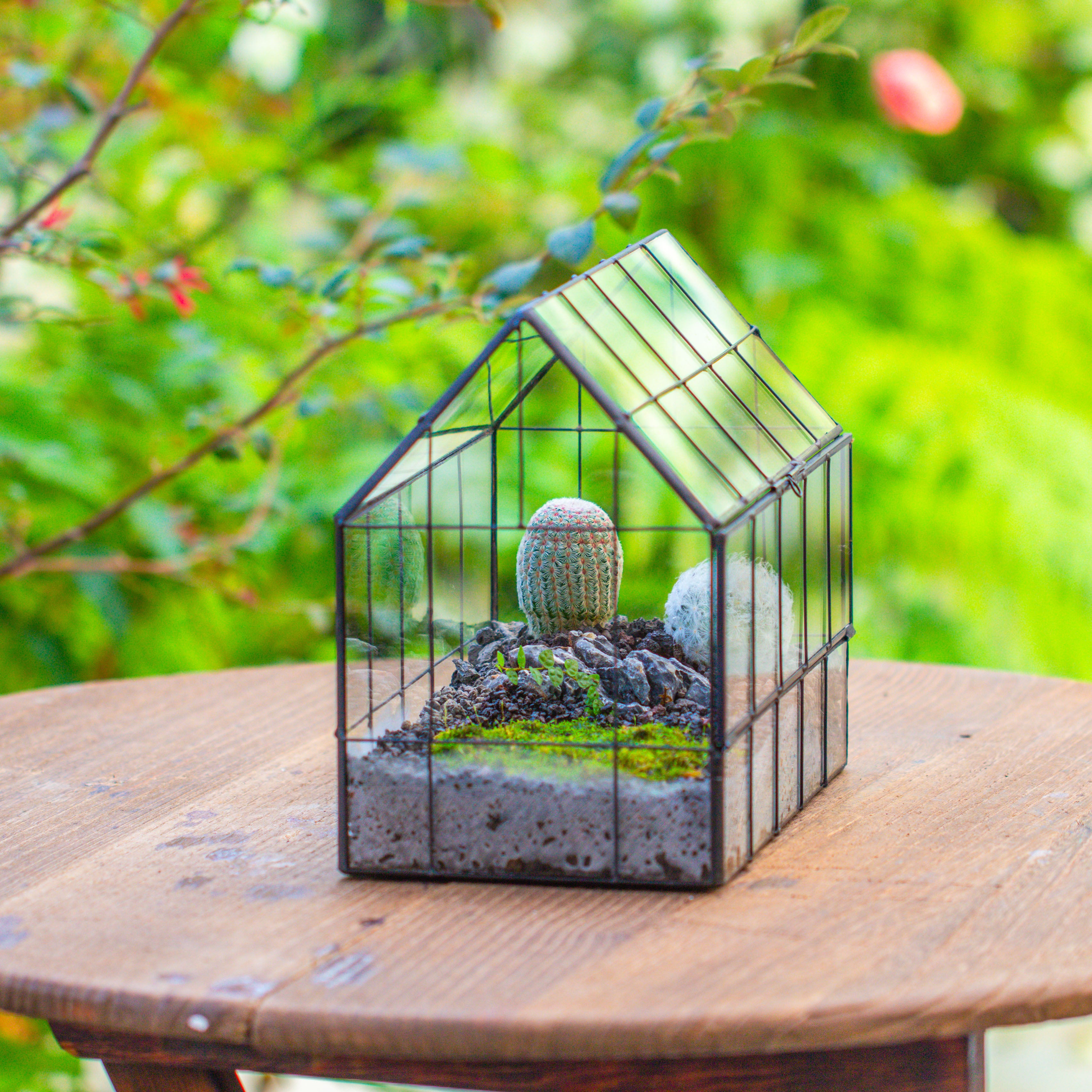 Vintge Greenhouse inspired tin and glass geometric Terrarium, side door, Close, for moss, fern, shade plants, micro landscape - NCYPgarden