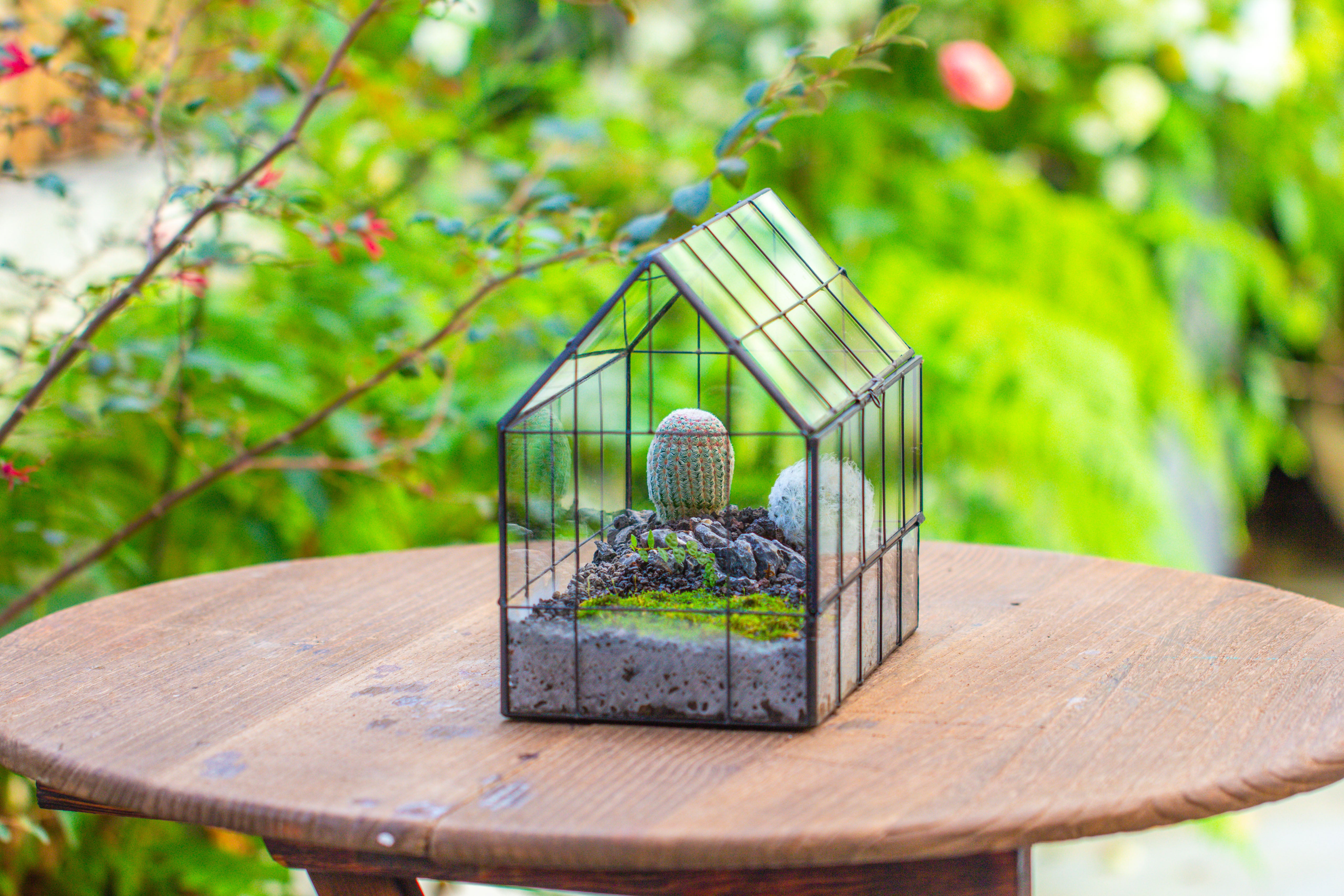 Vintge Greenhouse inspired tin and glass geometric Terrarium, side door, Close, for moss, fern, shade plants, micro landscape - NCYPgarden