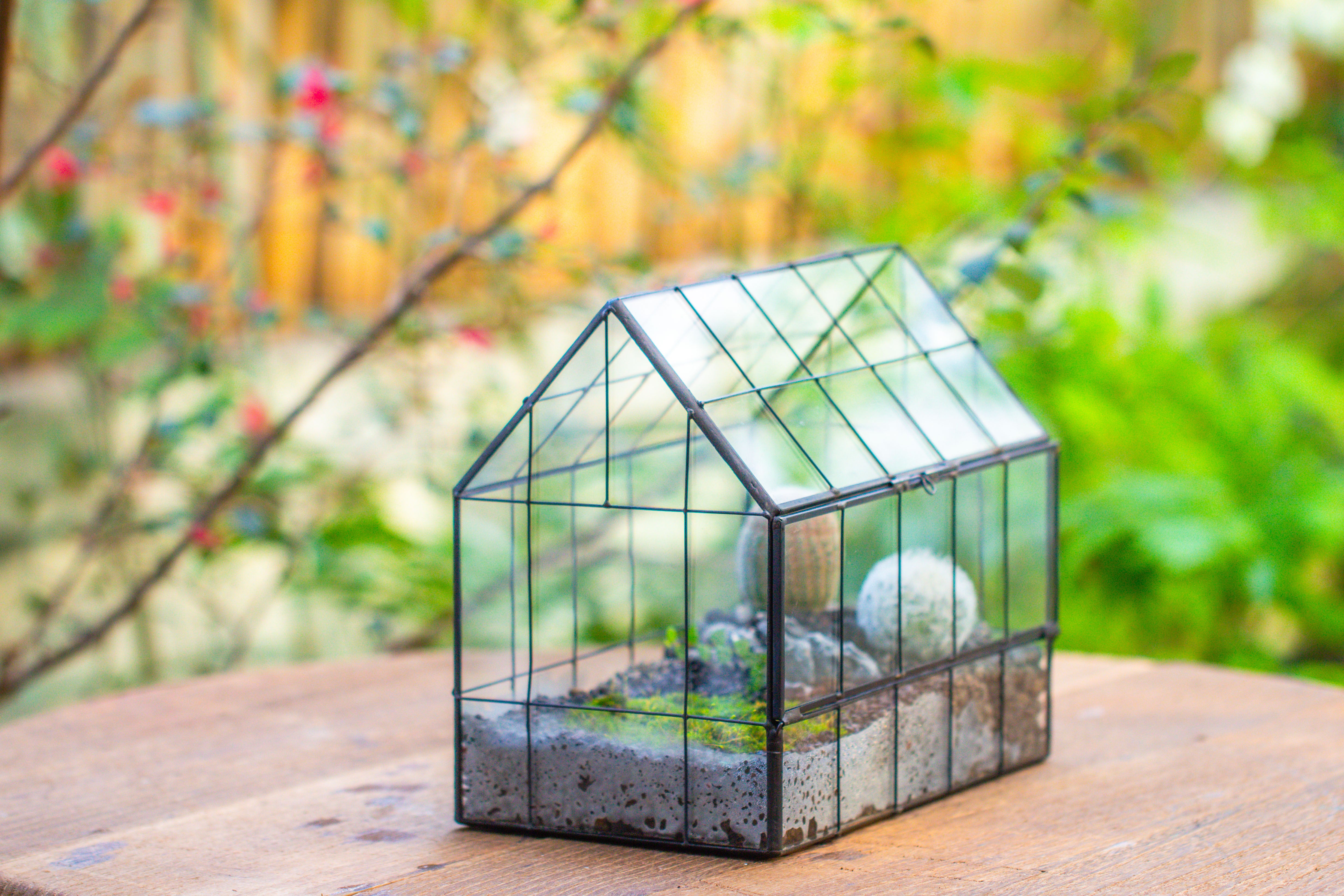 Vintge Greenhouse inspired tin and glass geometric Terrarium, side door, Close, for moss, fern, shade plants, micro landscape - NCYPgarden