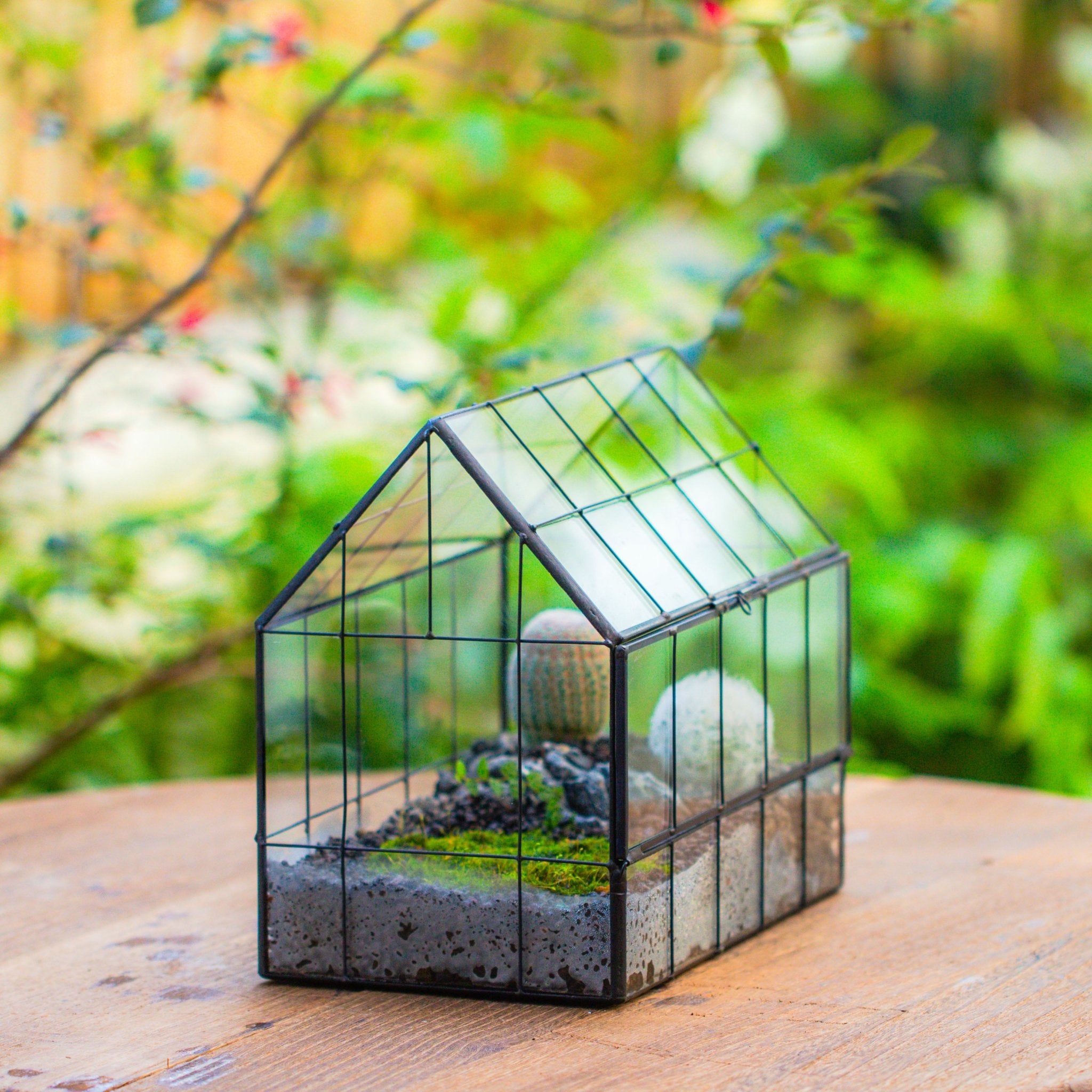 micro mini terrarium plants Vintge Greenhouse inspired tin and glass geometric Terrarium, side door, Close, for moss, fern, shade plants, micro landscape PH09B2