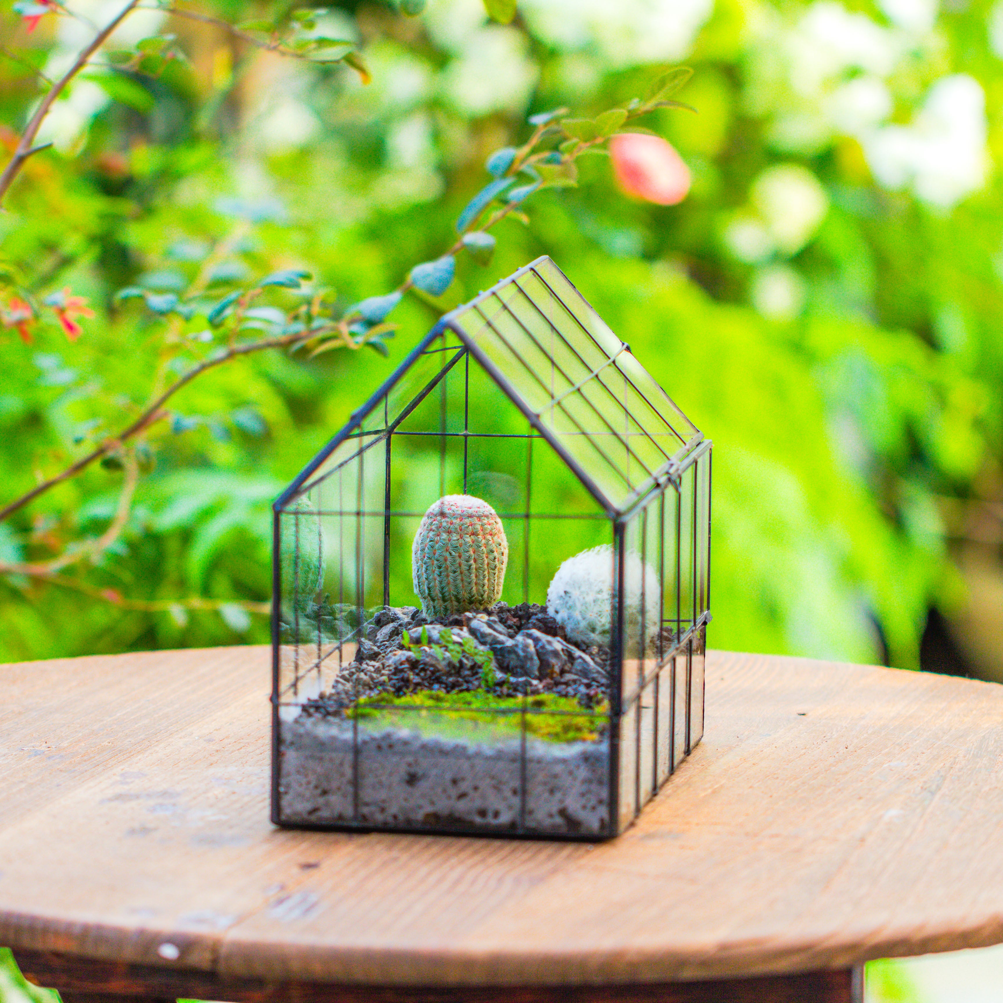 Vintge Greenhouse inspired tin and glass geometric Terrarium, side door, Close, for moss, fern, shade plants, micro landscape - NCYPgarden