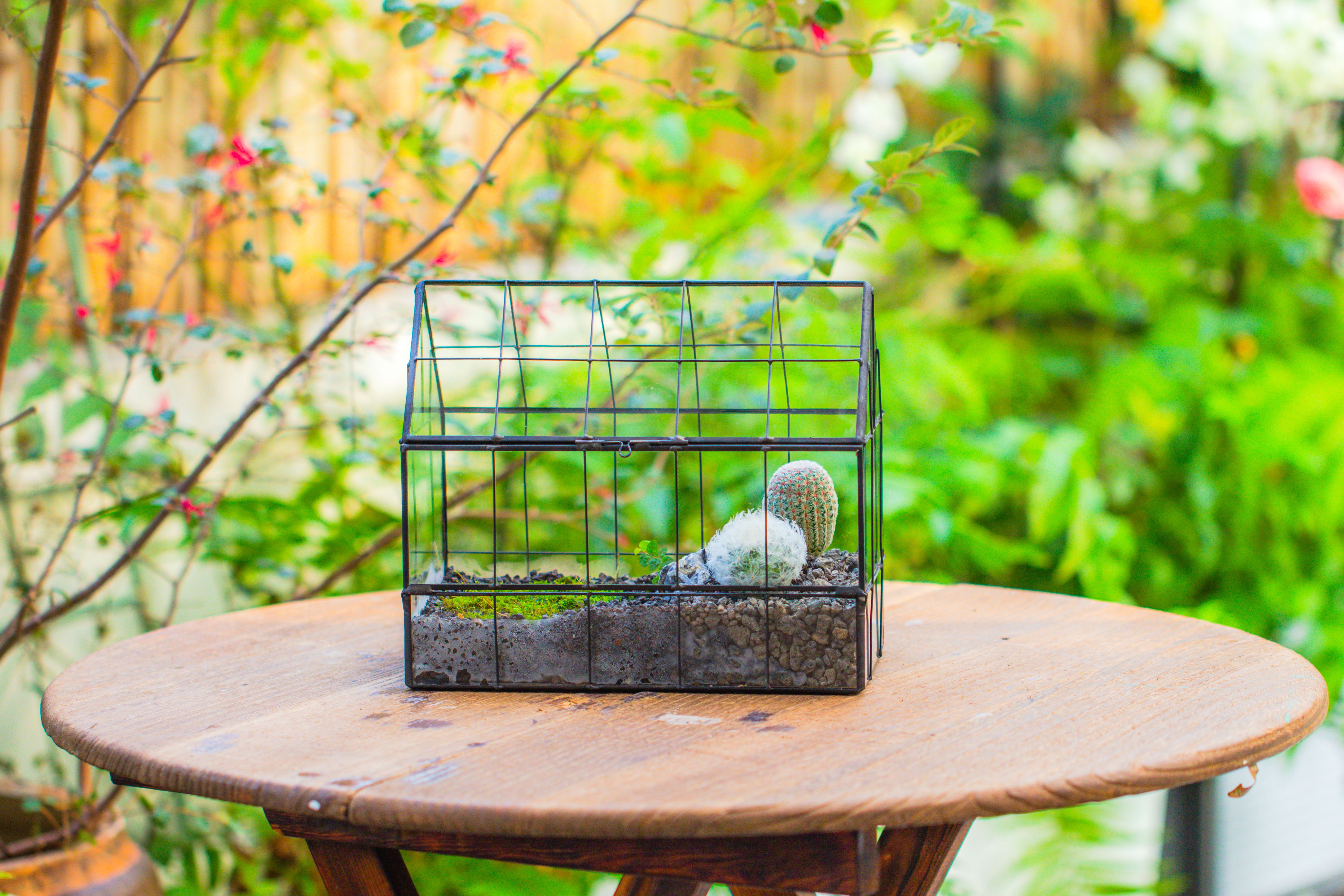 Vintge Greenhouse inspired tin and glass geometric Terrarium, side door, Close, for moss, fern, shade plants, micro landscape - NCYPgarden