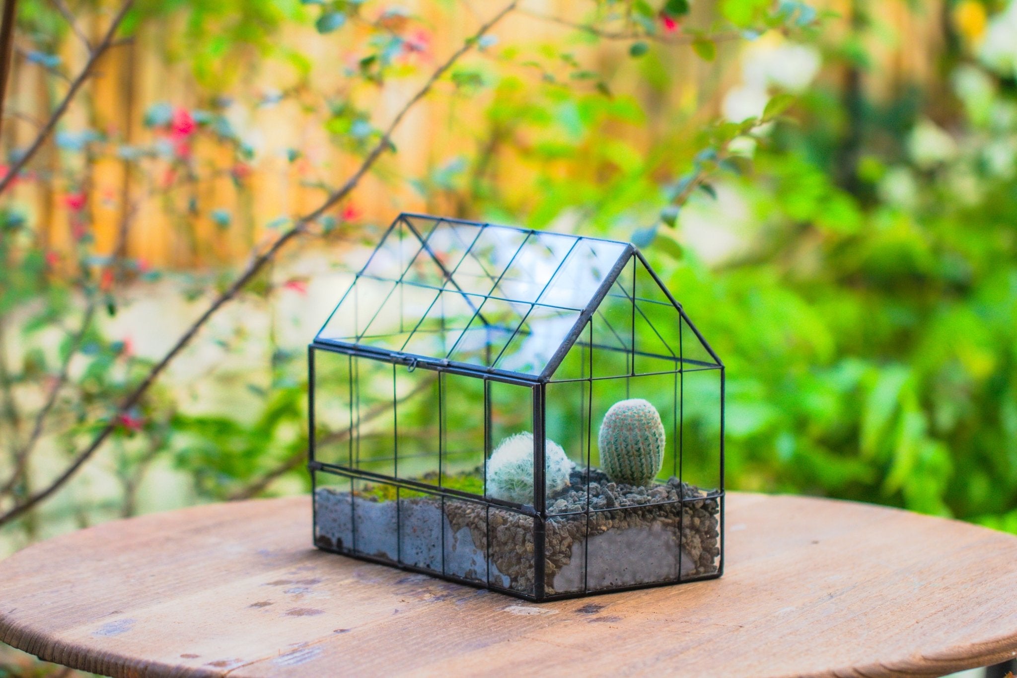 terrarium shade plants Vintge Greenhouse inspired tin and glass geometric Terrarium, side door, Close, for moss, fern, shade plants, micro landscape PH09B2