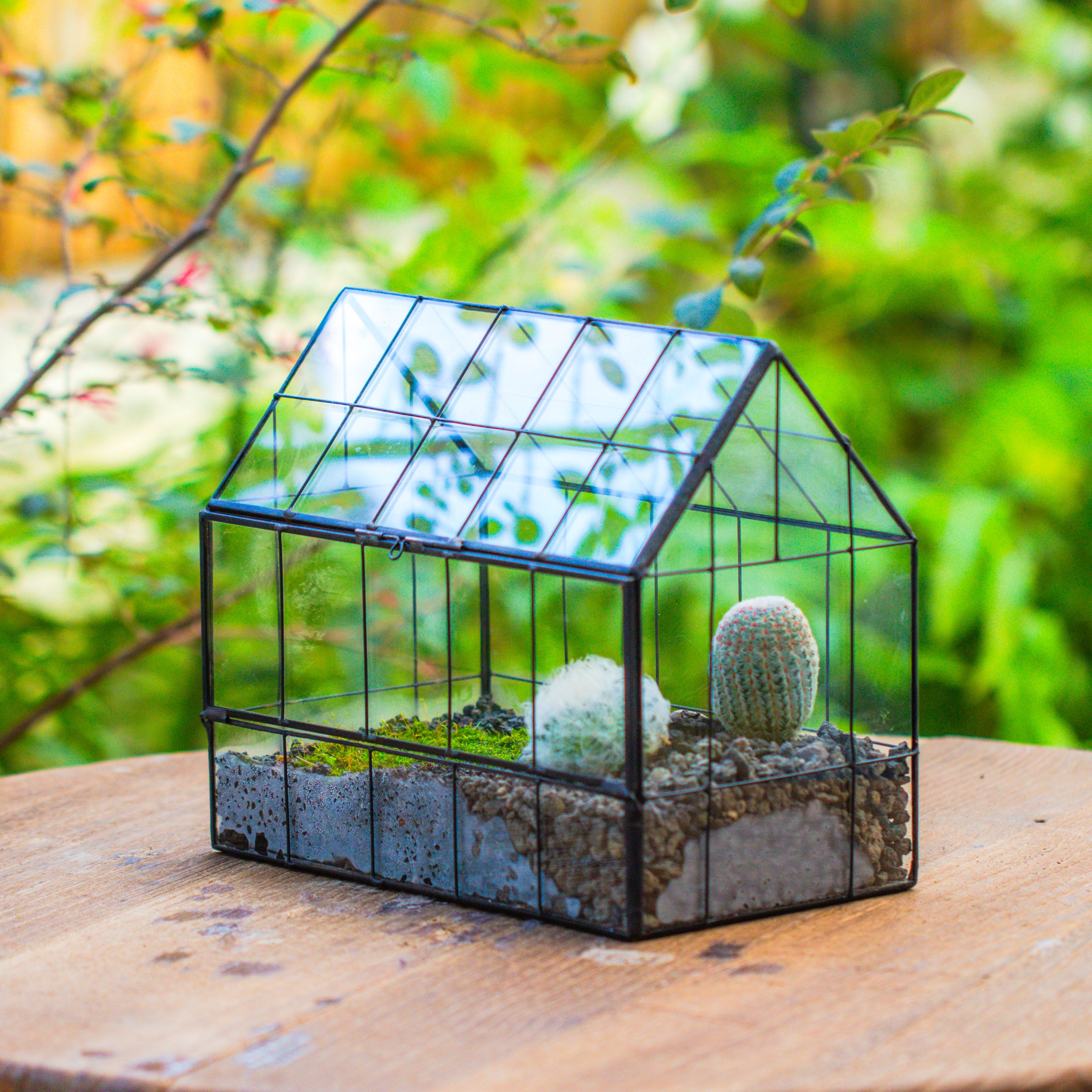 Vintge Greenhouse inspired tin and glass geometric Terrarium, side door, Close, for moss, fern, shade plants, micro landscape - NCYPgarden
