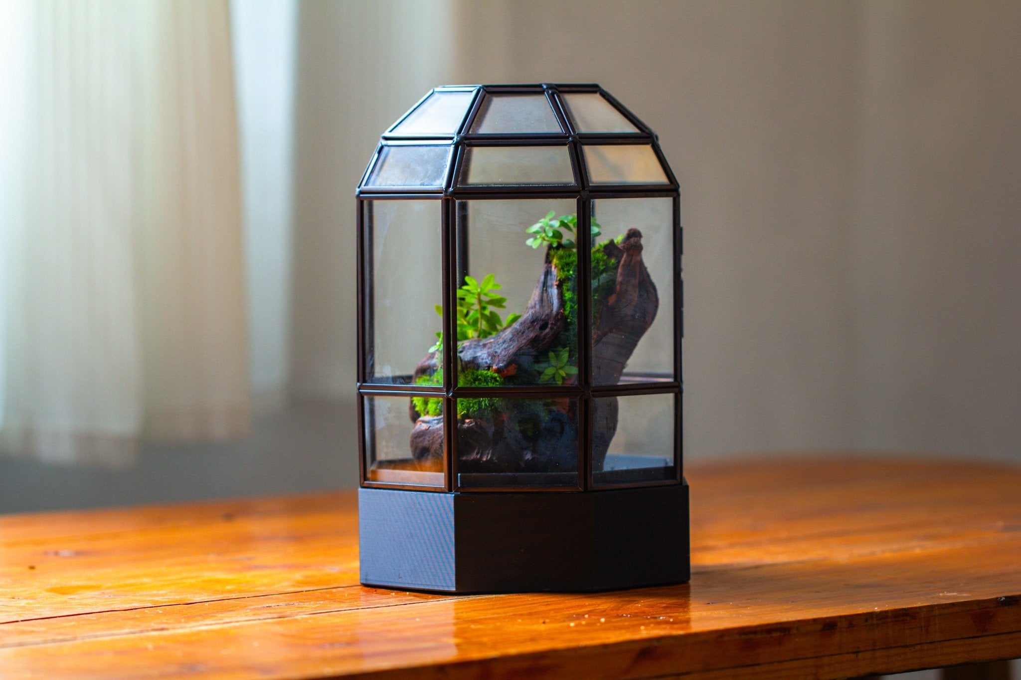 10" Tall Dome Glass Terrarium with Water-Holding Base and Door PD01V2 - NCYPgarden