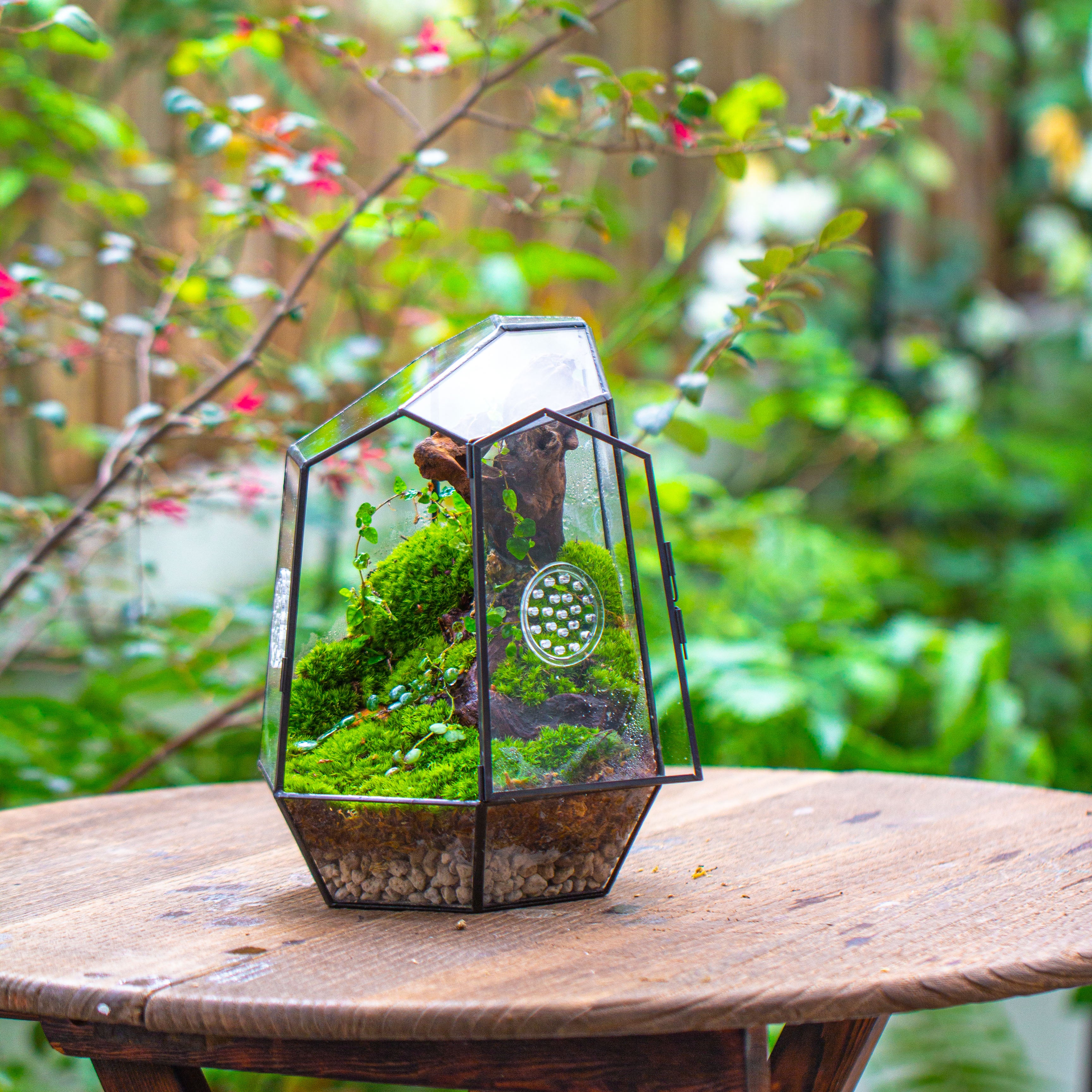 NCYP Close Geometric Tin Glass Terrarium with Door, Vent, Insect Bug Terrarium - NCYPgarden