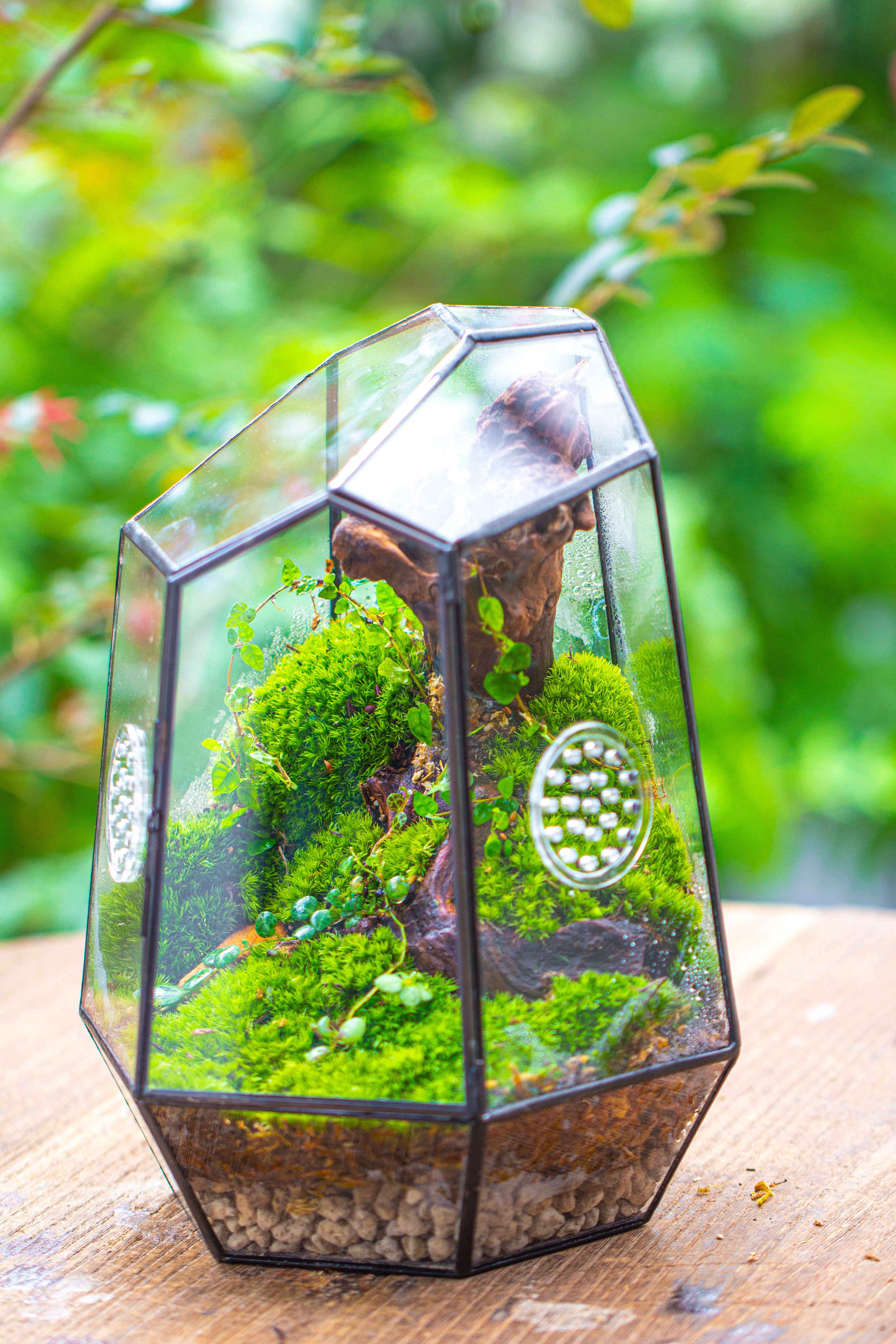 NCYP Close Geometric Tin Glass Terrarium with Door, Vent, Insect Bug Terrarium - NCYPgarden