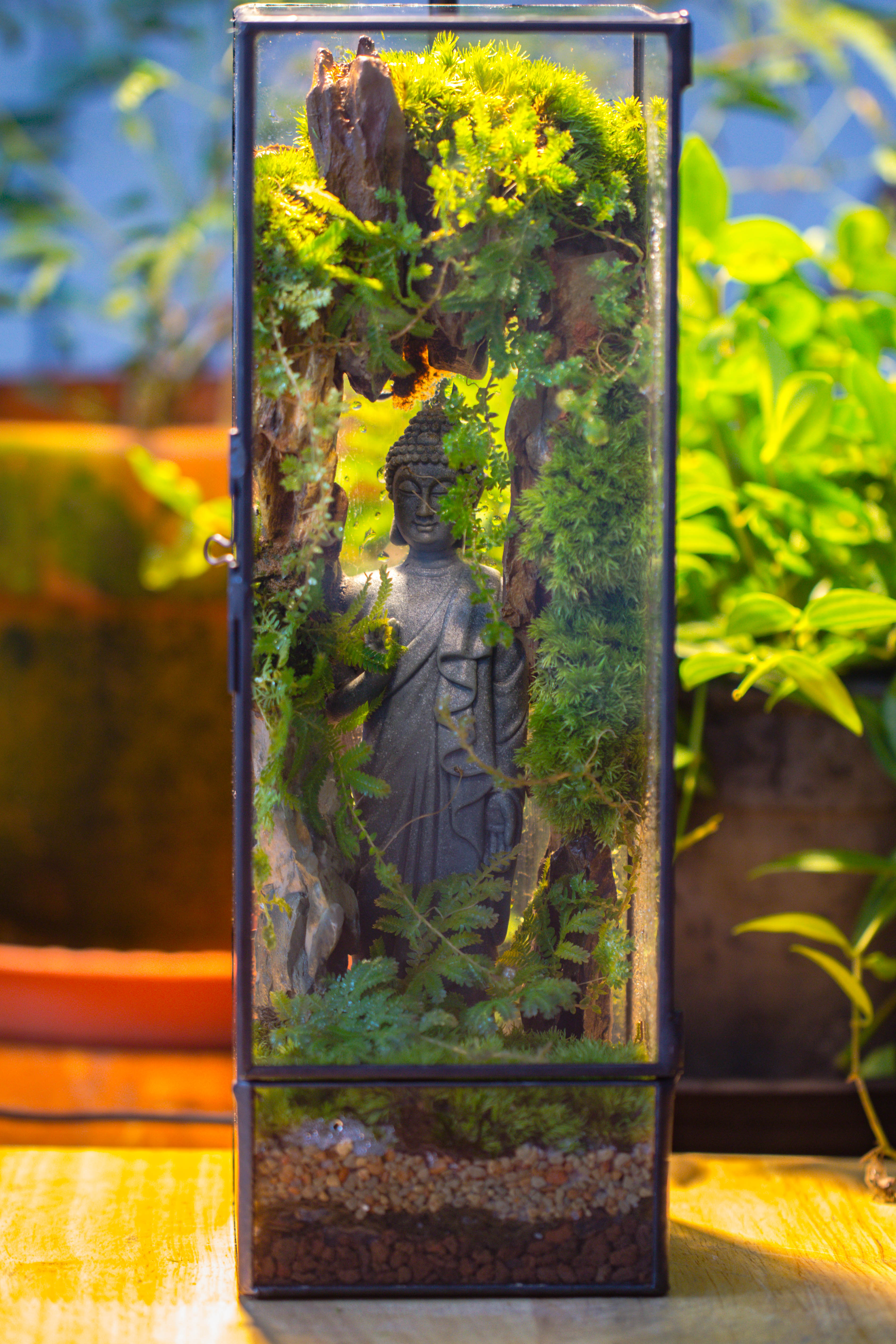 NCYP Close 11.8" Tall Geometric Glass Terrarium with Door DIY set, with Buddha, Dragon rocks, Planting Materials - NCYPgarden