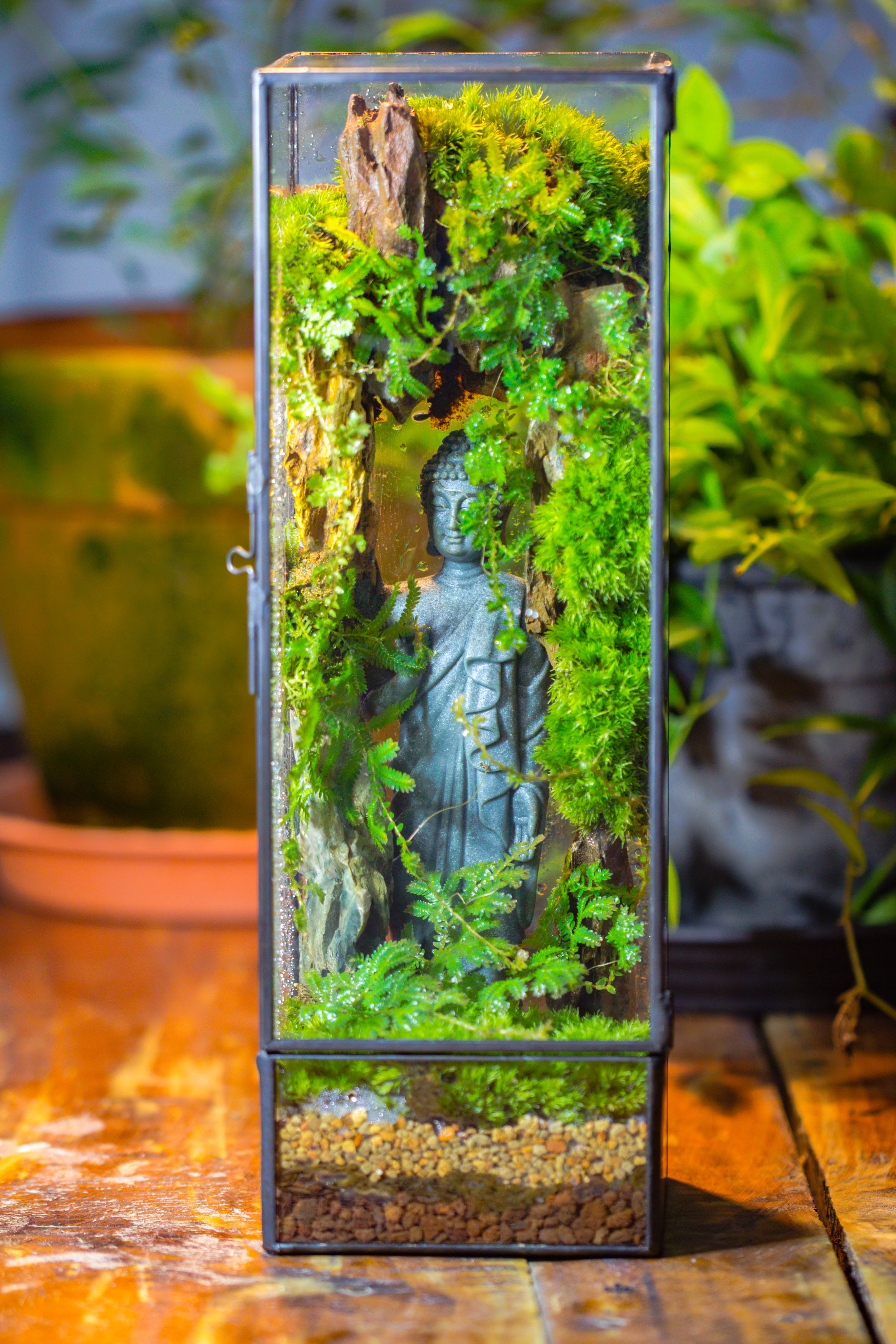 NCYP Close 11.8" Tall Geometric Glass Terrarium with Door DIY set, with Buddha, Dragon rocks, Planting Materials - NCYPgarden