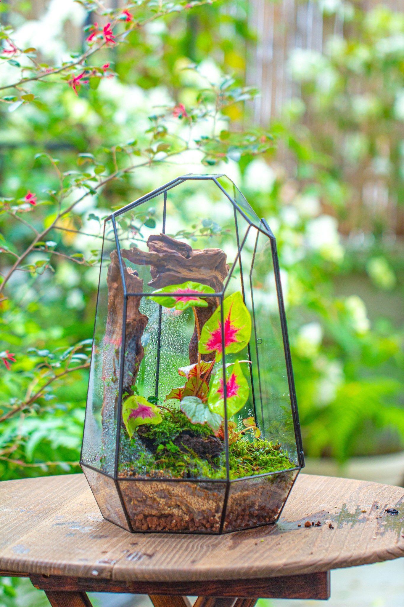 geometric plant pot large 16.1" Large Irregular Geometric Glass Terrarium, Close, Tin soldered, for moss, tropical plants, micro landscape PG01B4
