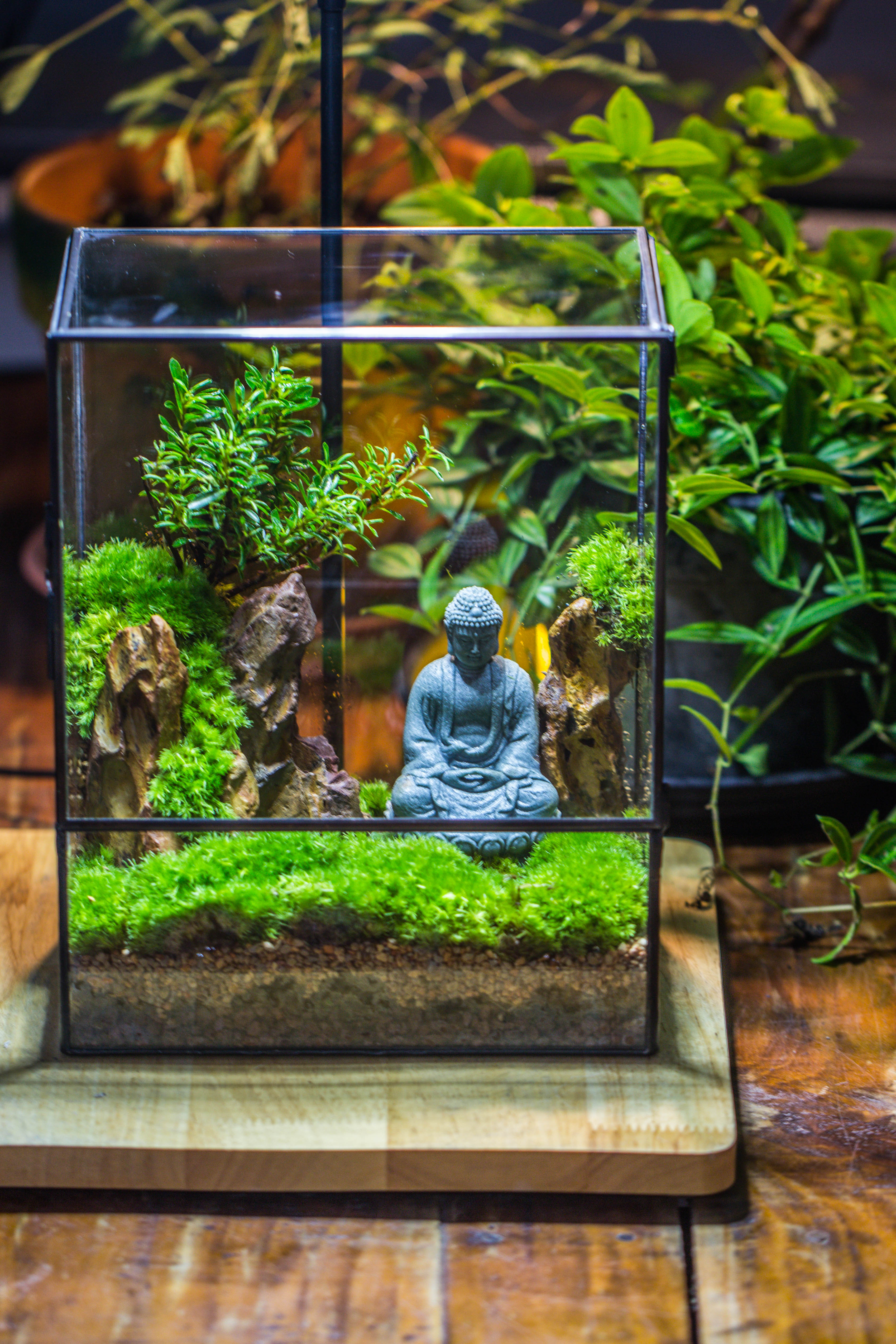Close Geometric Glass Tin Terrarium , 8x10" and Buddha, rock, Micro Landscape Moss Terrarium Building DIY set No plants, Customizable - NCYPgarden