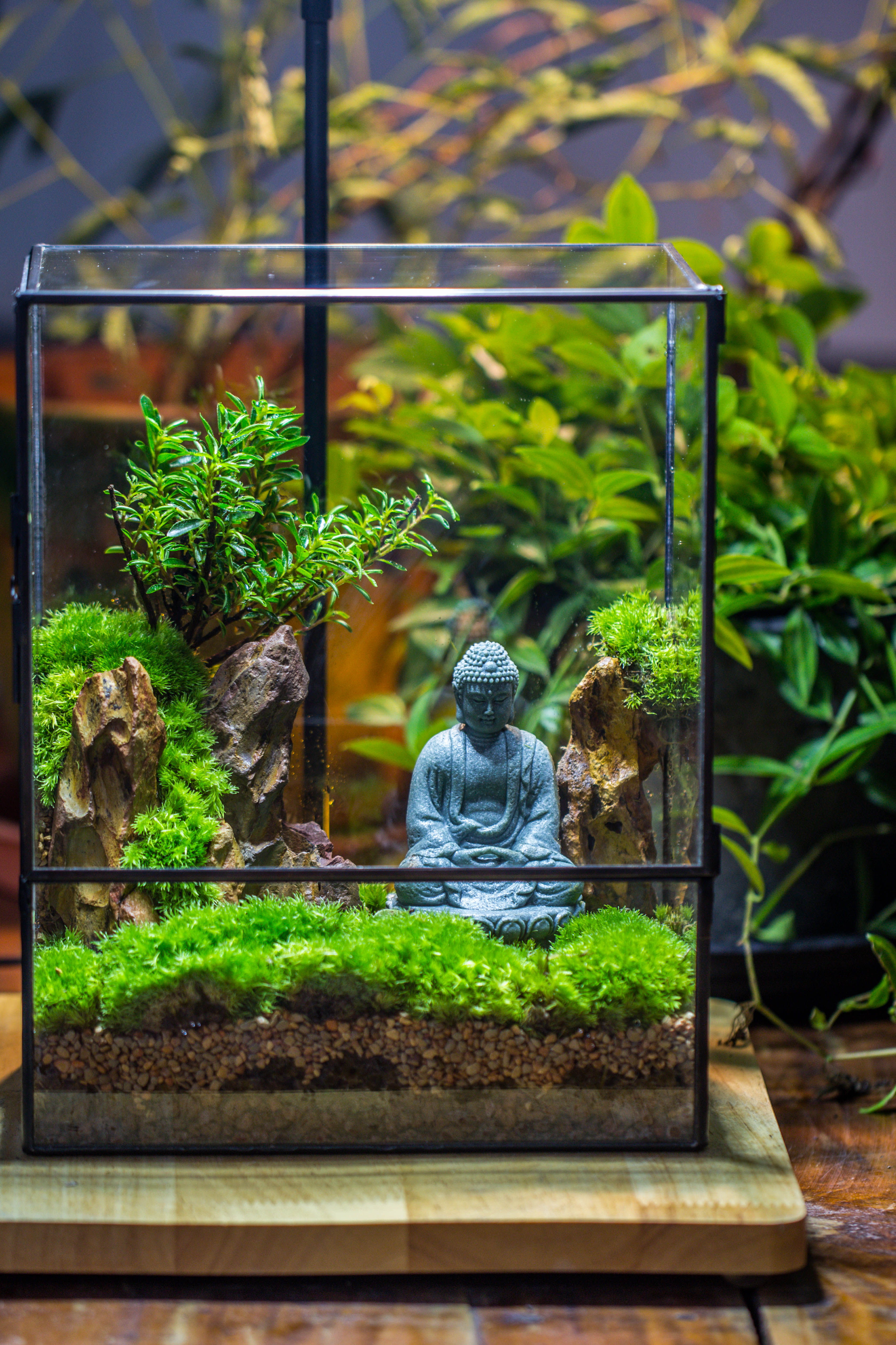 Close Geometric Glass Tin Terrarium , 8x10" and Buddha, rock, Micro Landscape Moss Terrarium Building DIY set No plants, Customizable - NCYPgarden