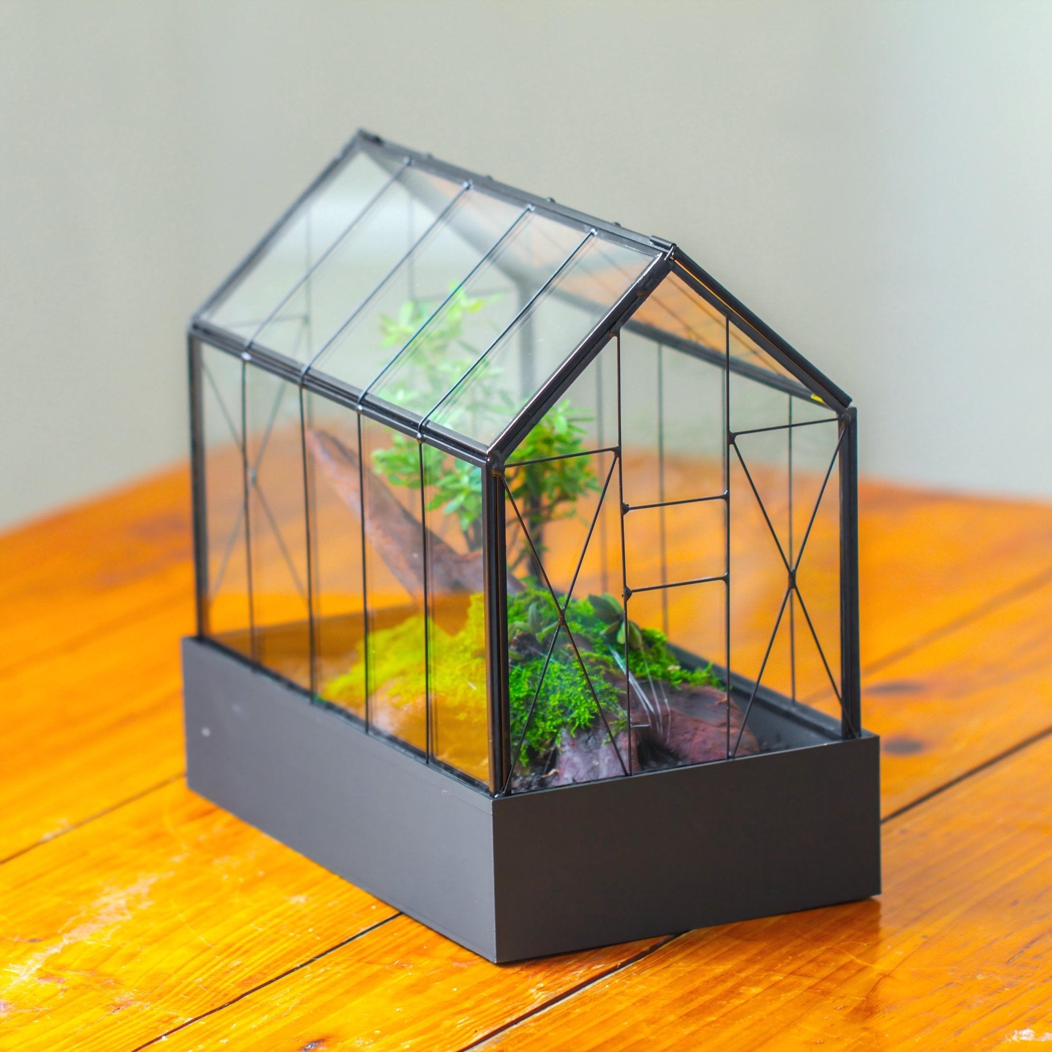Vintge Greenhouse inspired two-part glass geometric Terrarium, Close, for moss, fern, shade plants, micro landscape - NCYPgarden