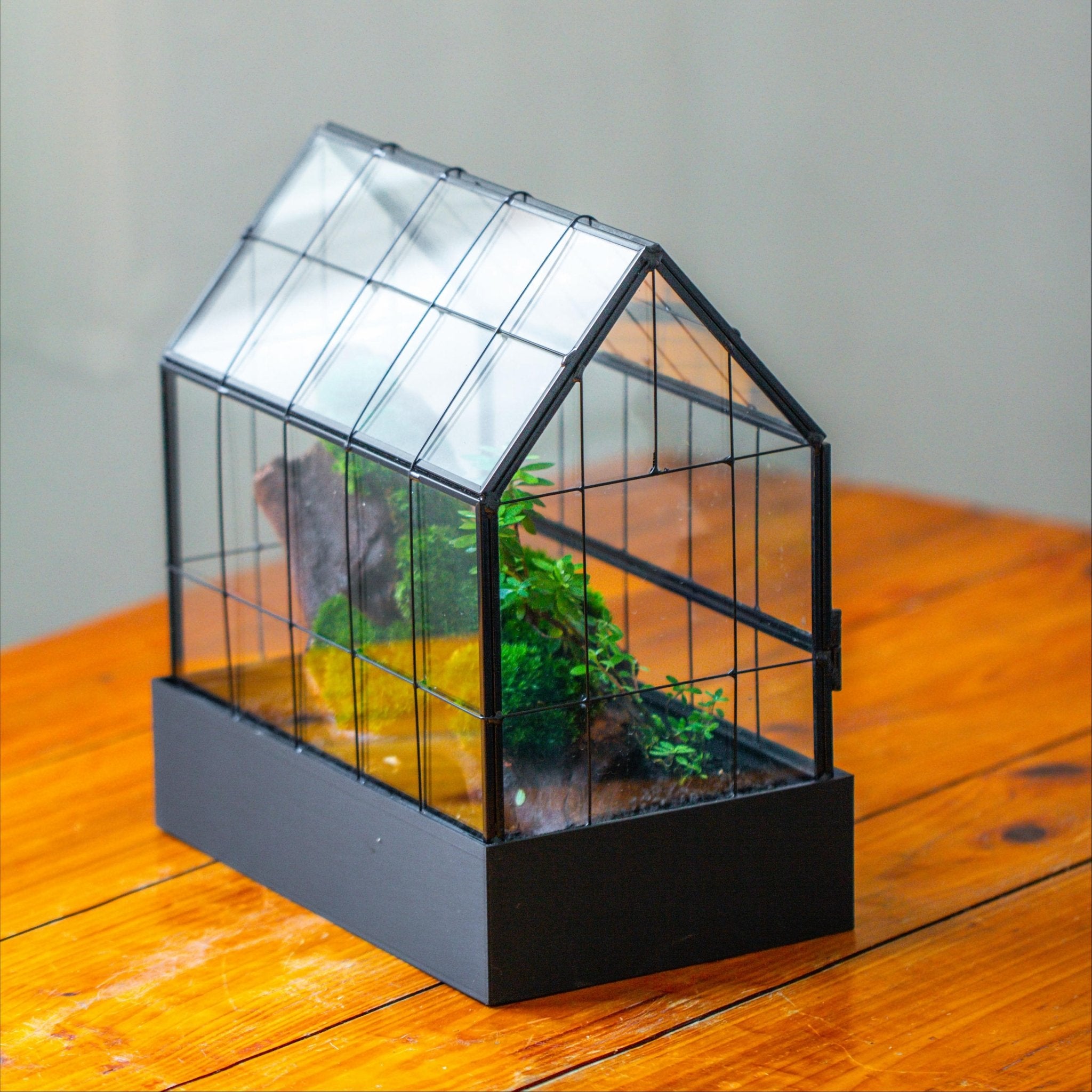 Vintge Greenhouse inspired two-part glass geometric Terrarium, side door, Close, for moss, fern, shade plants, micro landscape - NCYPgarden