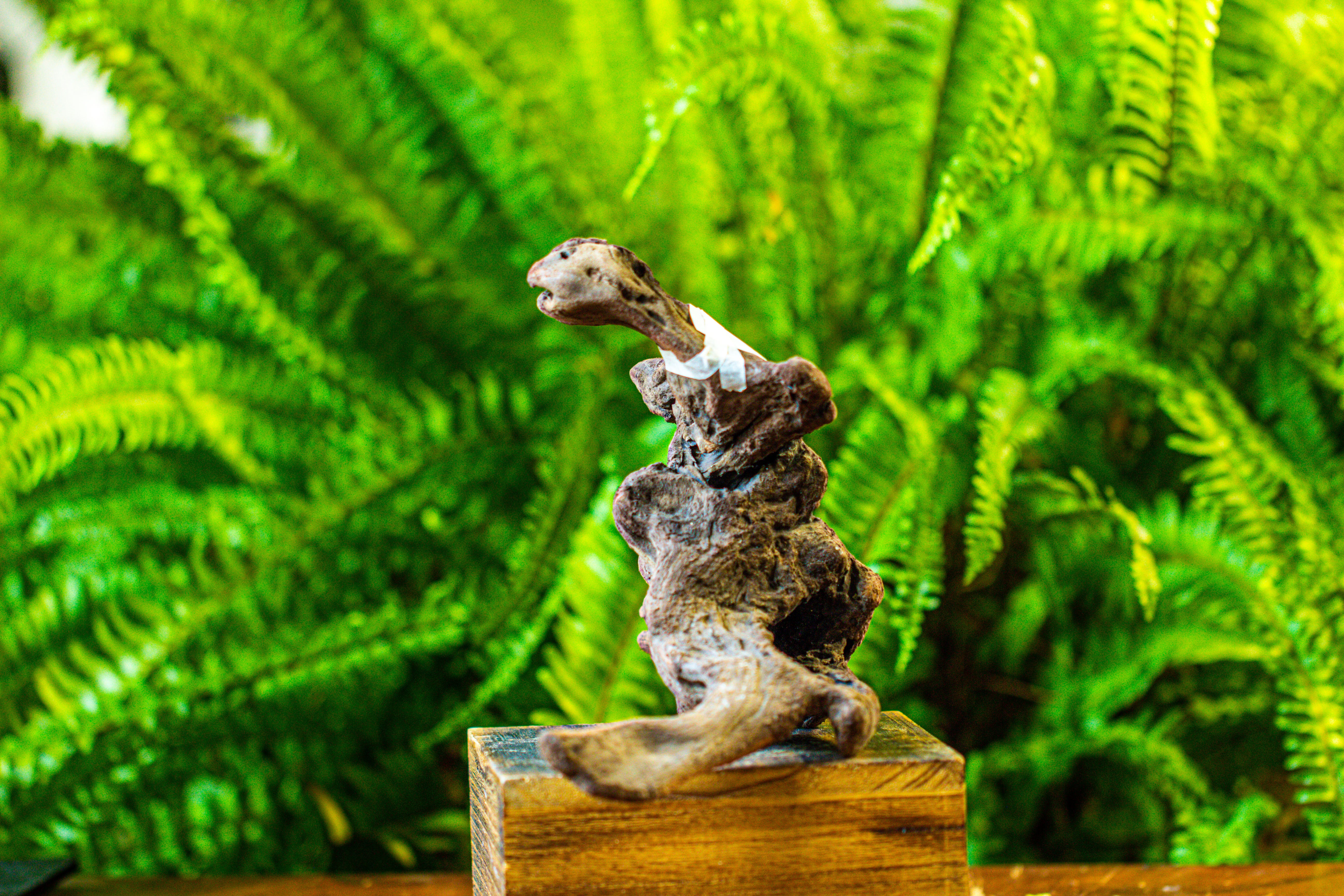 driftwood for moss terrarium, miniature, micro landscape, H019 - NCYPgarden