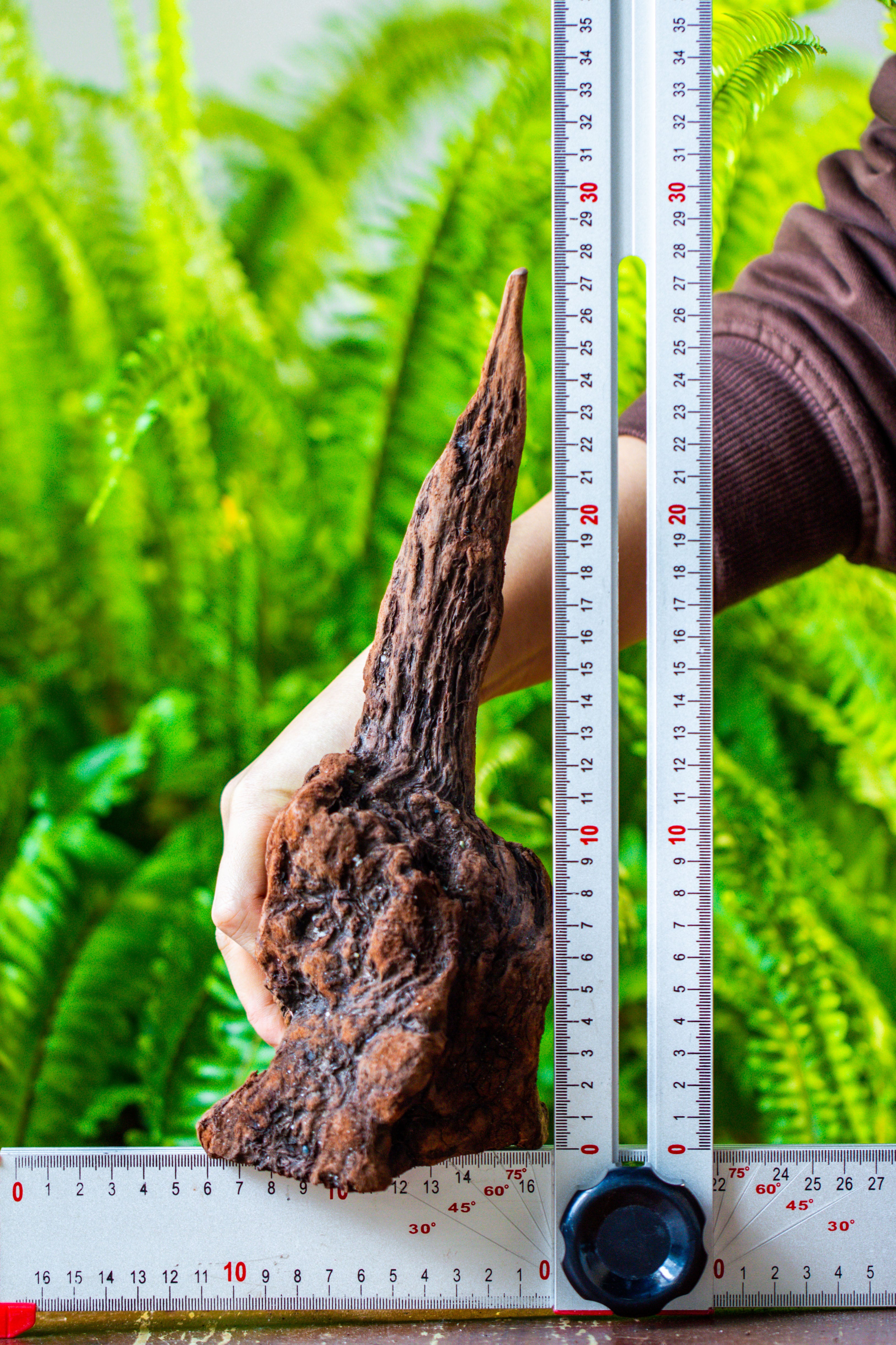 driftwood for moss terrarium, miniature, micro landscape, H017 - NCYPgarden