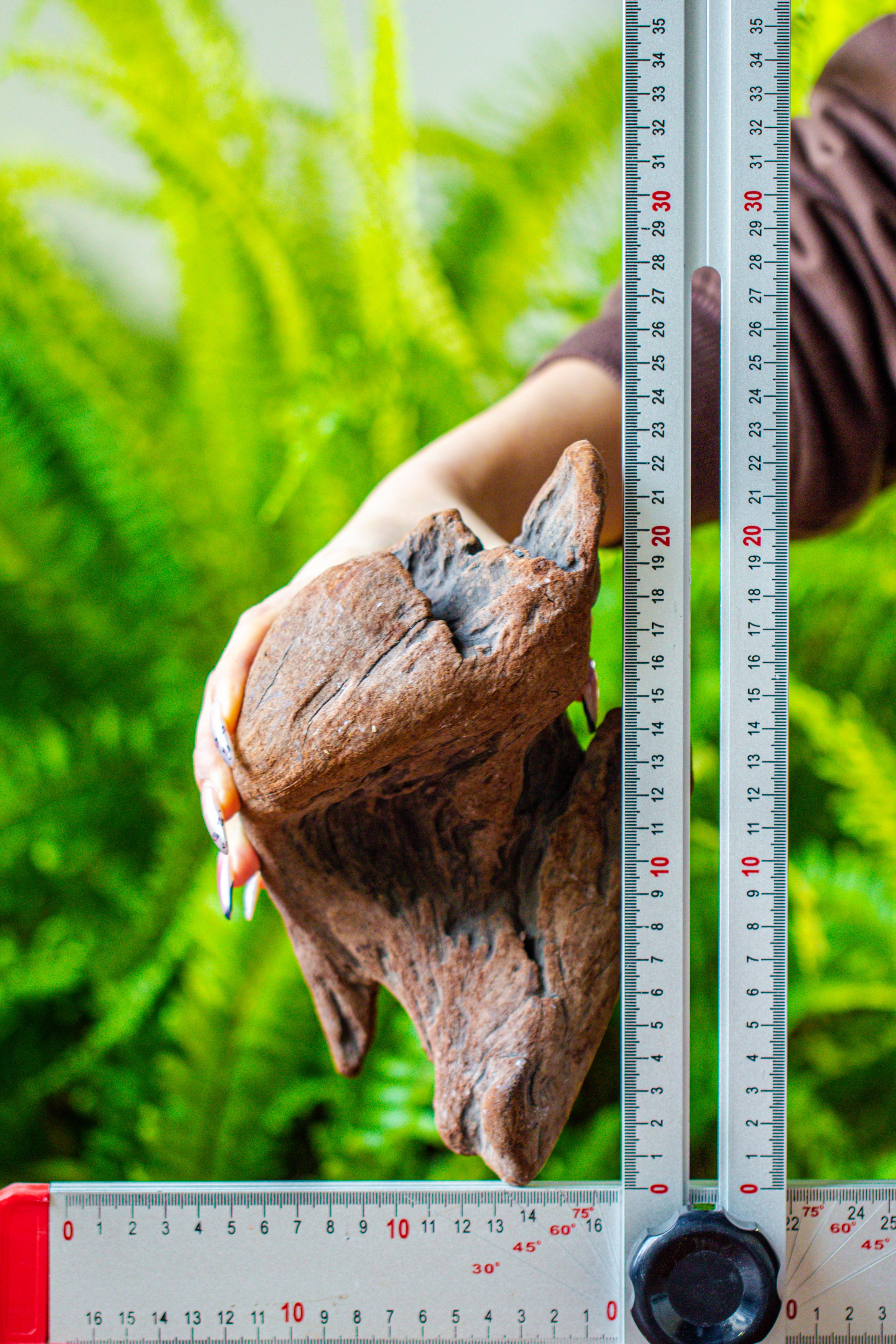 driftwood for moss terrarium, miniature, micro landscape, H008 - NCYPgarden