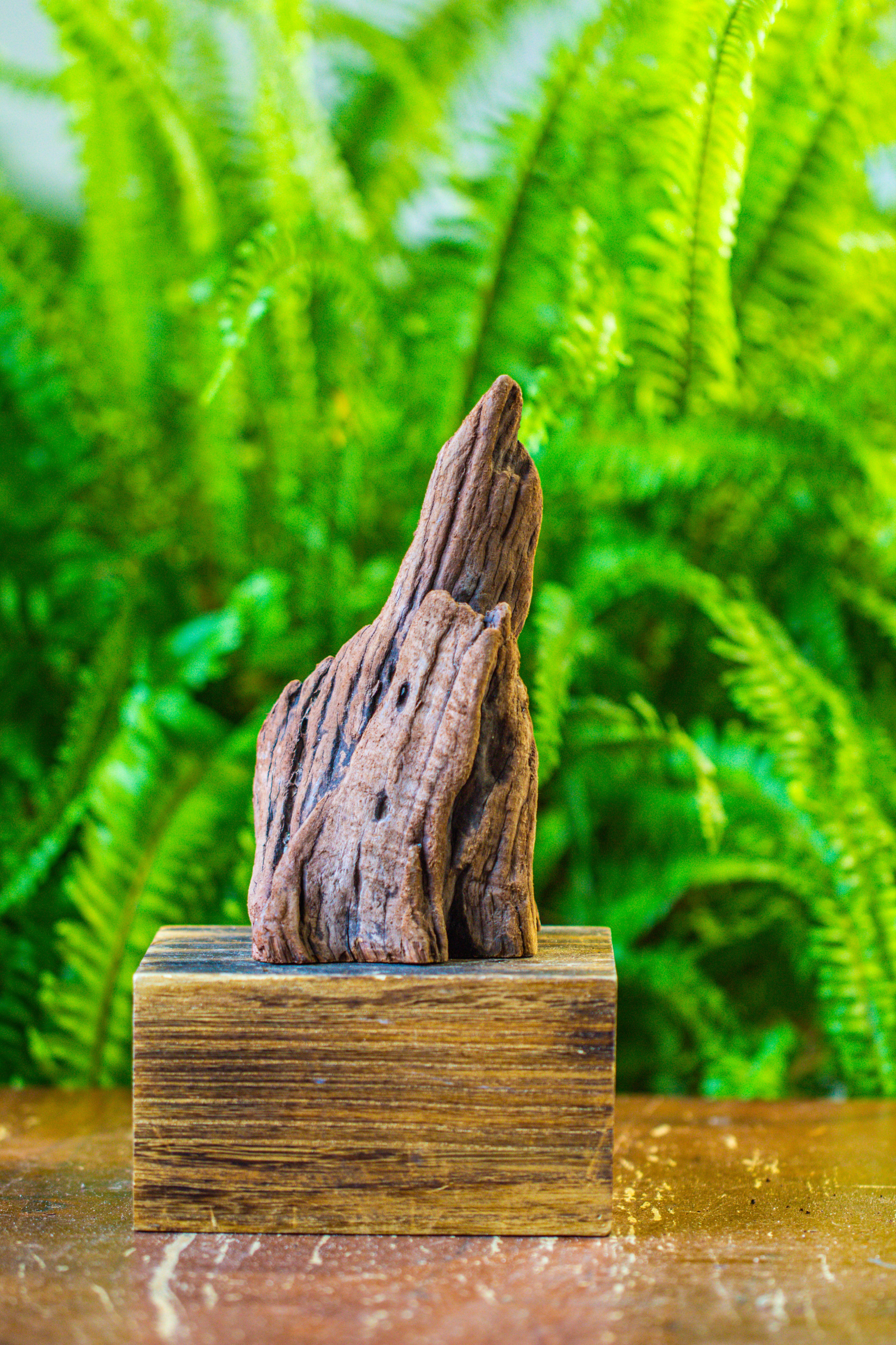 driftwood for moss terrarium, miniature, micro landscape, H011 - NCYPgarden
