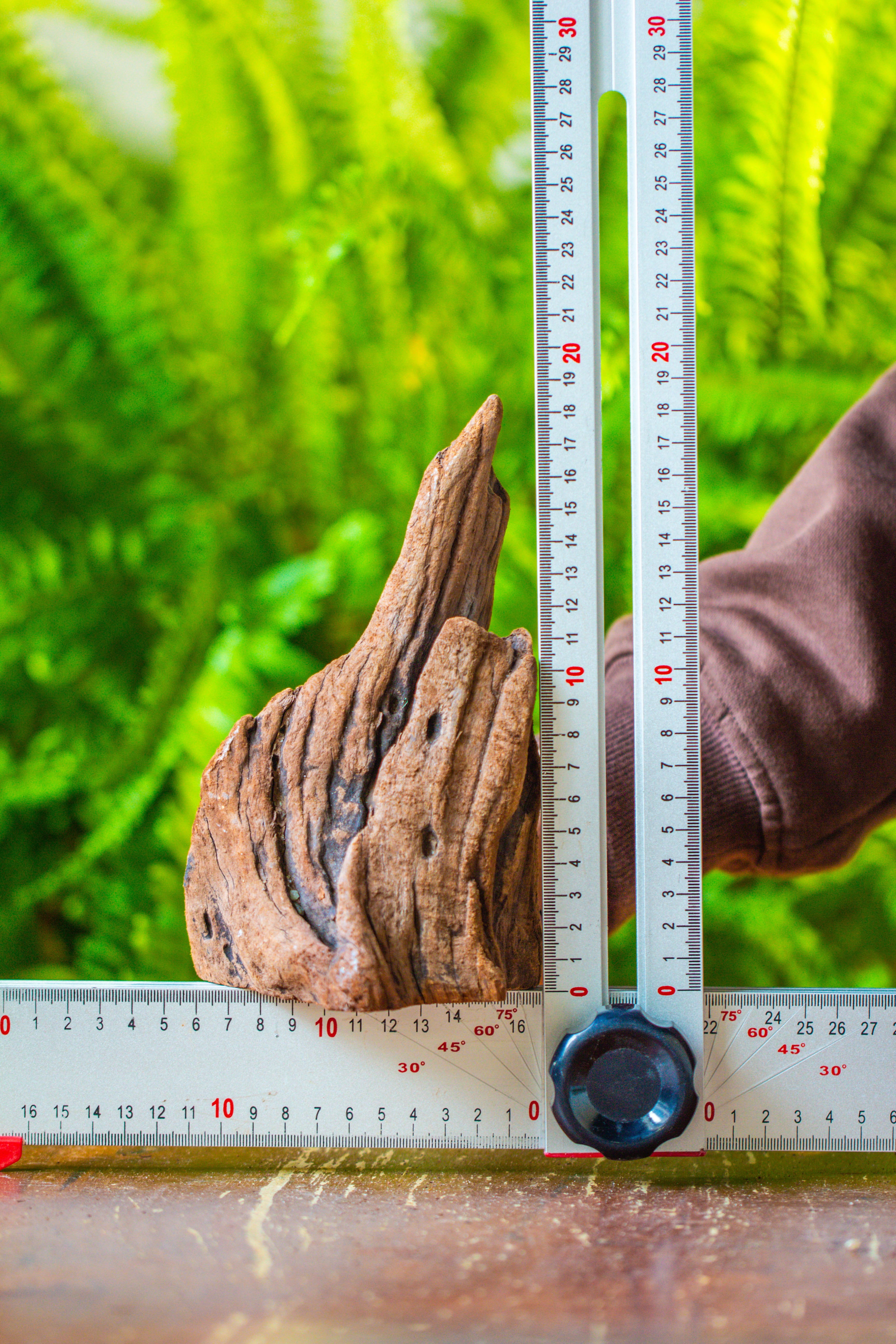 driftwood for moss terrarium, miniature, micro landscape, H011 - NCYPgarden