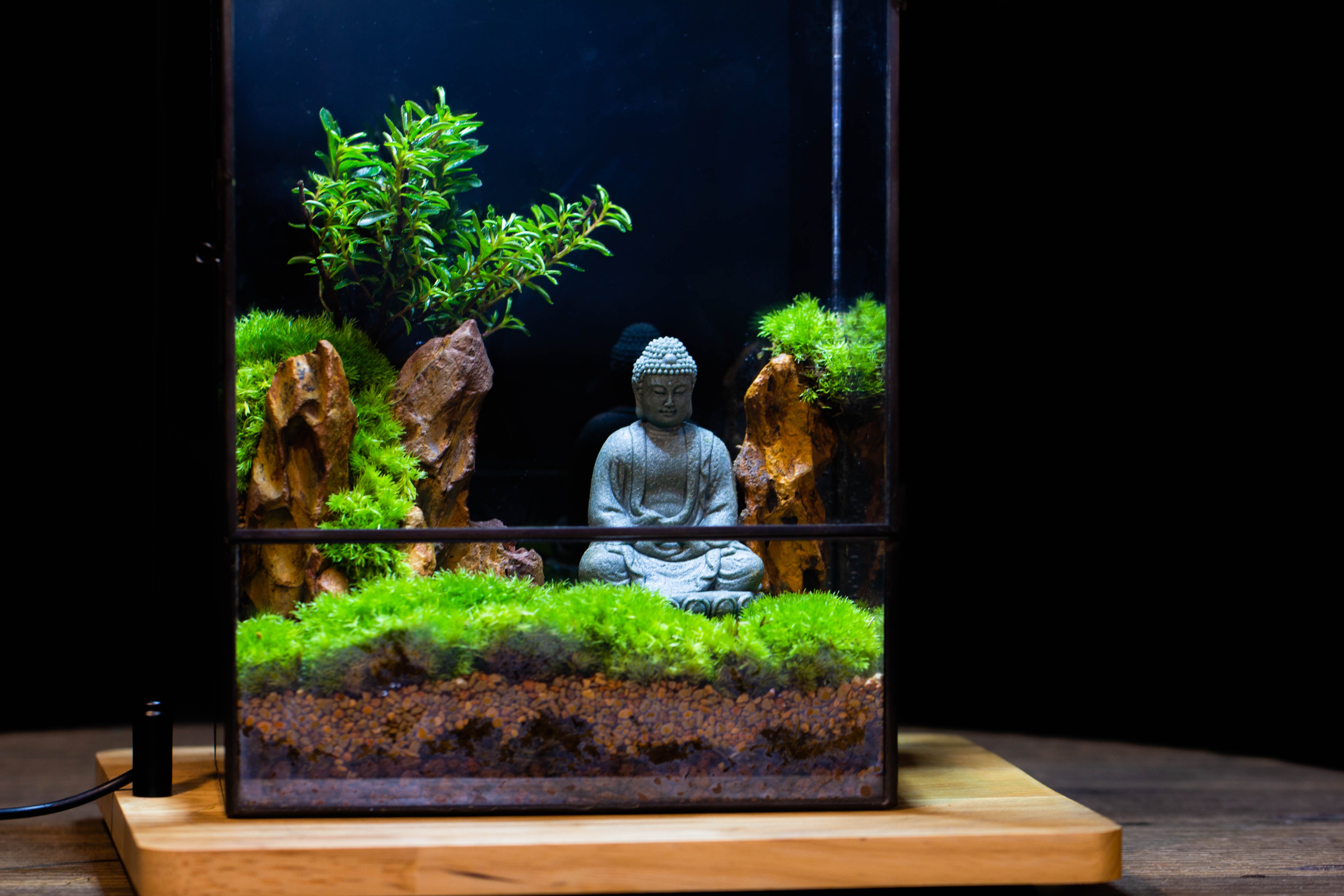 Close Geometric Glass Tin Terrarium , 8x10" and Buddha, rock, Micro Landscape Moss Terrarium Building DIY set No plants, Customizable - NCYPgarden