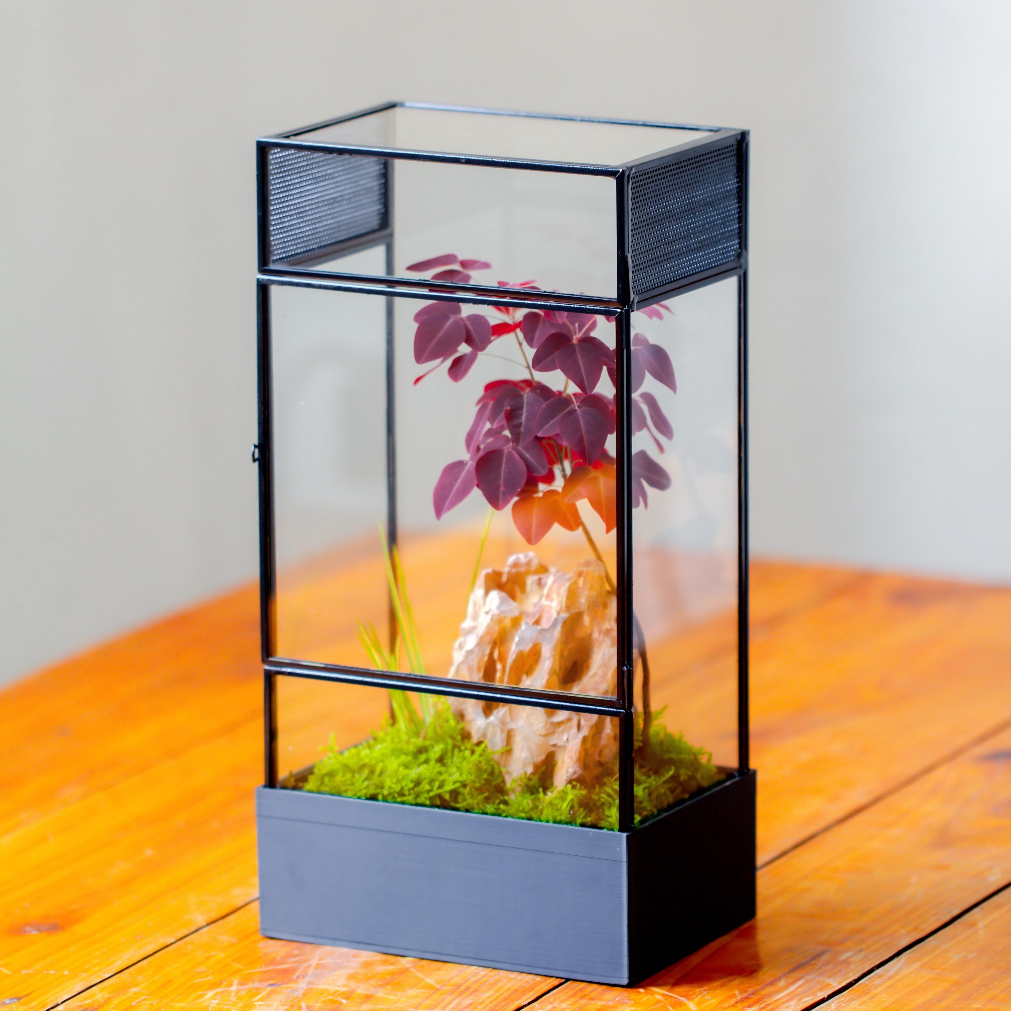Tall NCYP Rectangle Glass Bioactive Terrarium,  with side door,  with Mesh  vent for praying mantis