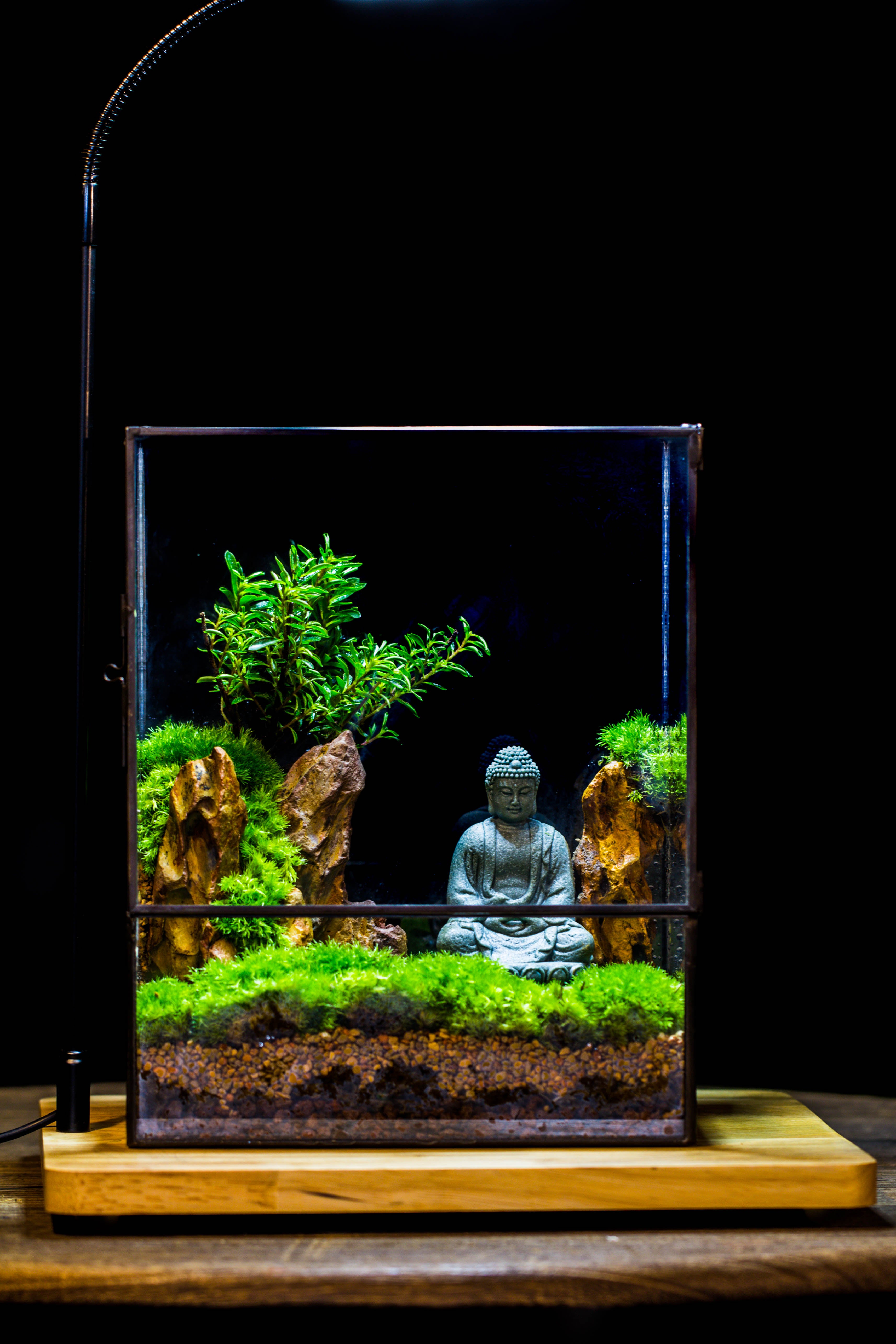 Close Geometric Glass Tin Terrarium , 8x10" and Buddha, rock, Micro Landscape Moss Terrarium Building DIY set No plants, Customizable - NCYPgarden