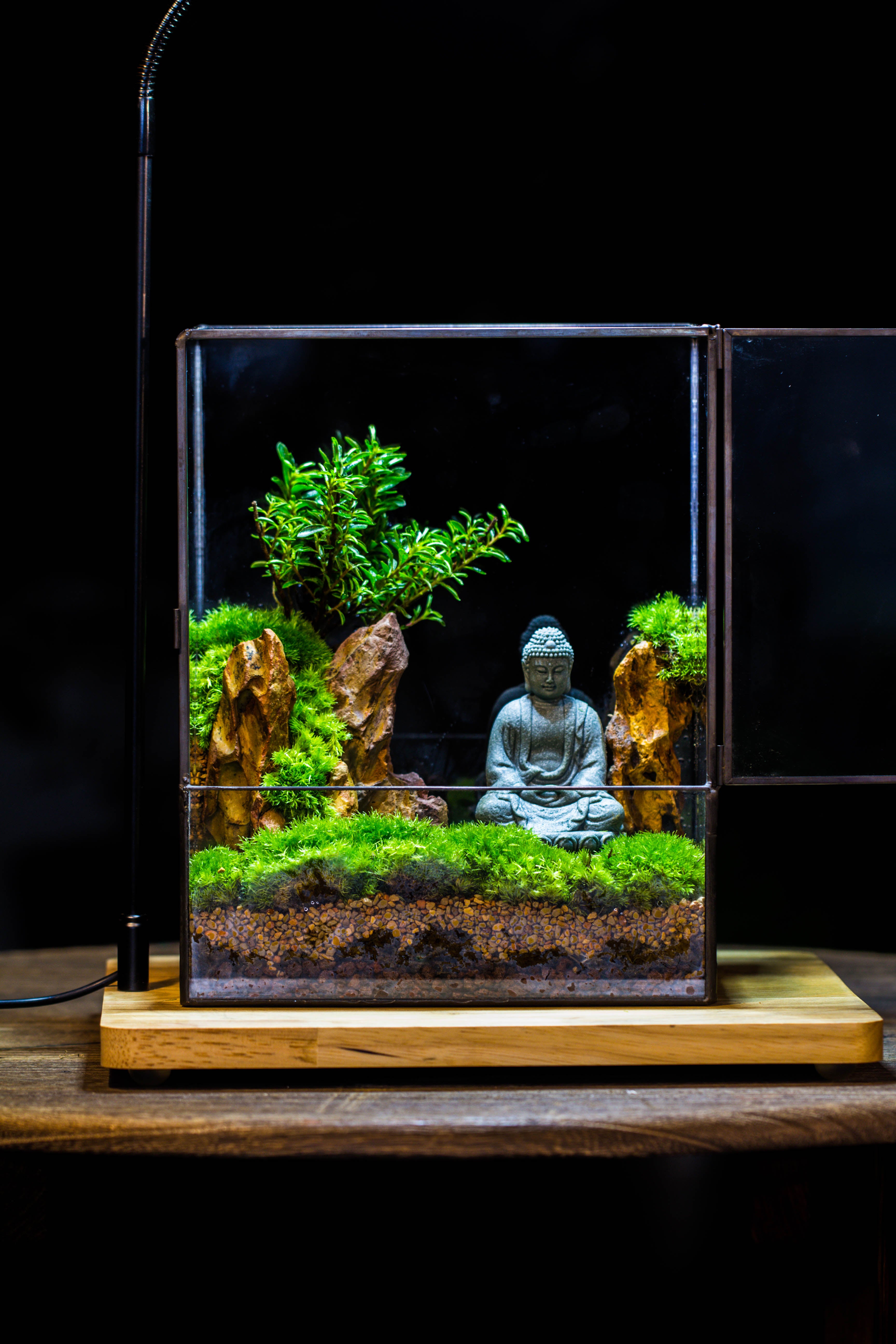 2-6" / 5-15cm cutted Flat bottom Natural Ohko Dragon Stone Rock for Terrarium, Aquarium Bonsai Landscape, 2kg/4.4lb, with DIY tools - NCYPgarden