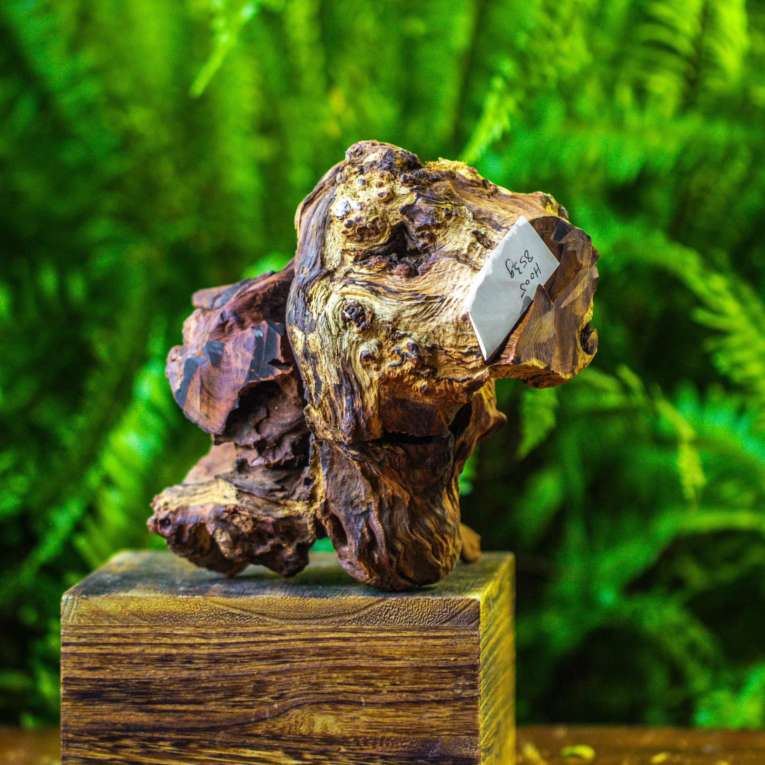 driftwood for moss terrarium, miniature, micro landscape, H005 - NCYPgarden