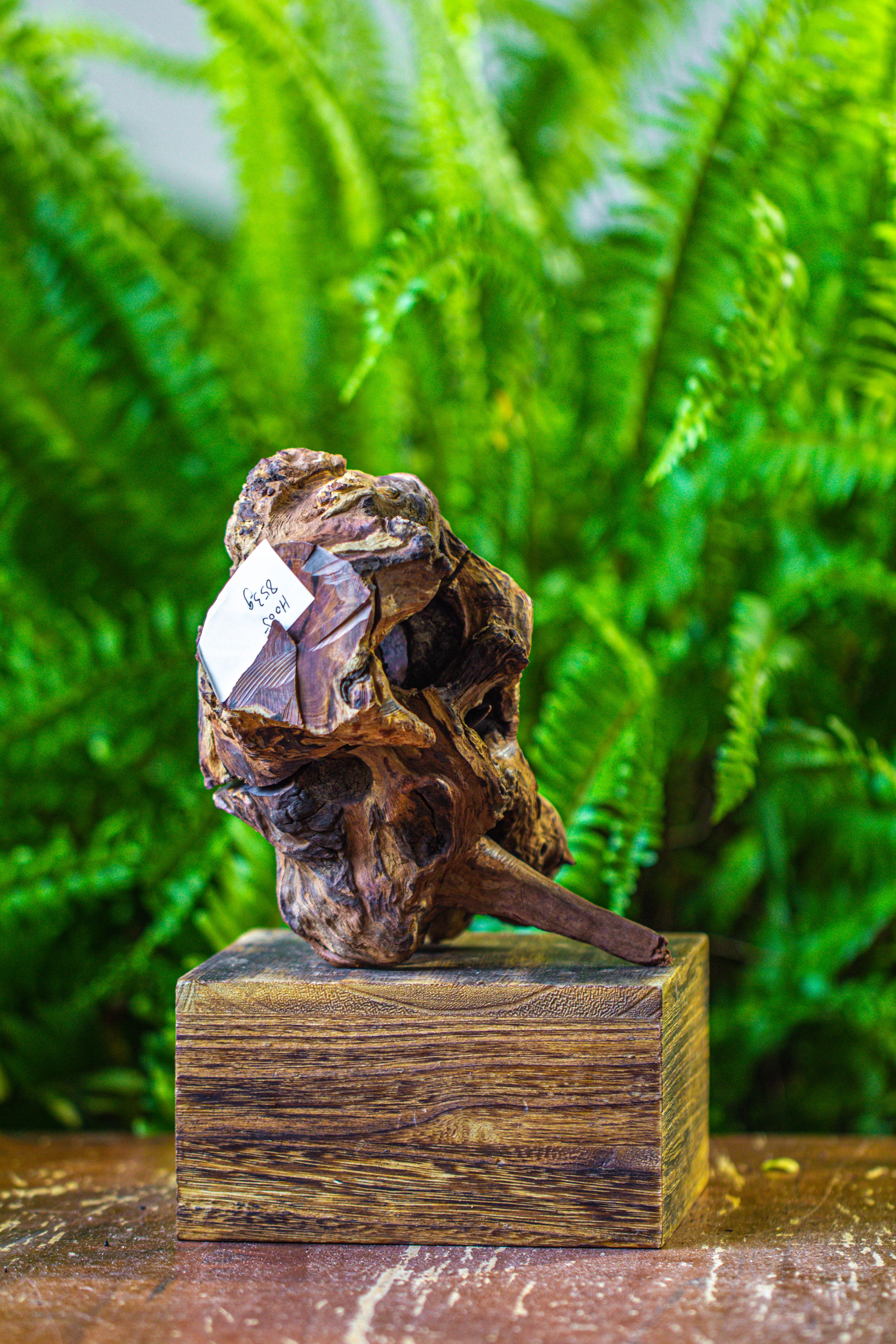 driftwood for moss terrarium, miniature, micro landscape, H005 - NCYPgarden