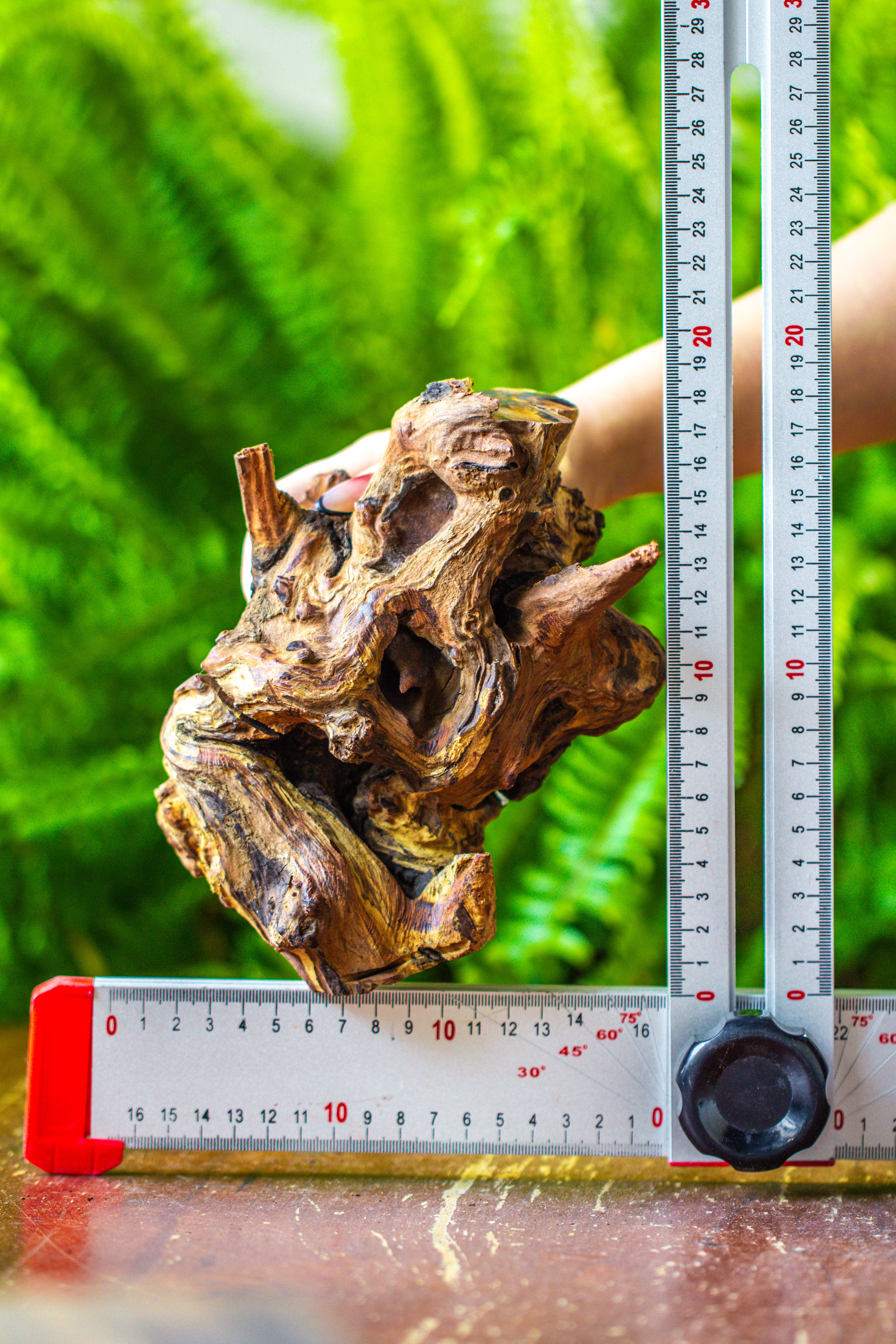 driftwood for moss terrarium, miniature, micro landscape, H005 - NCYPgarden