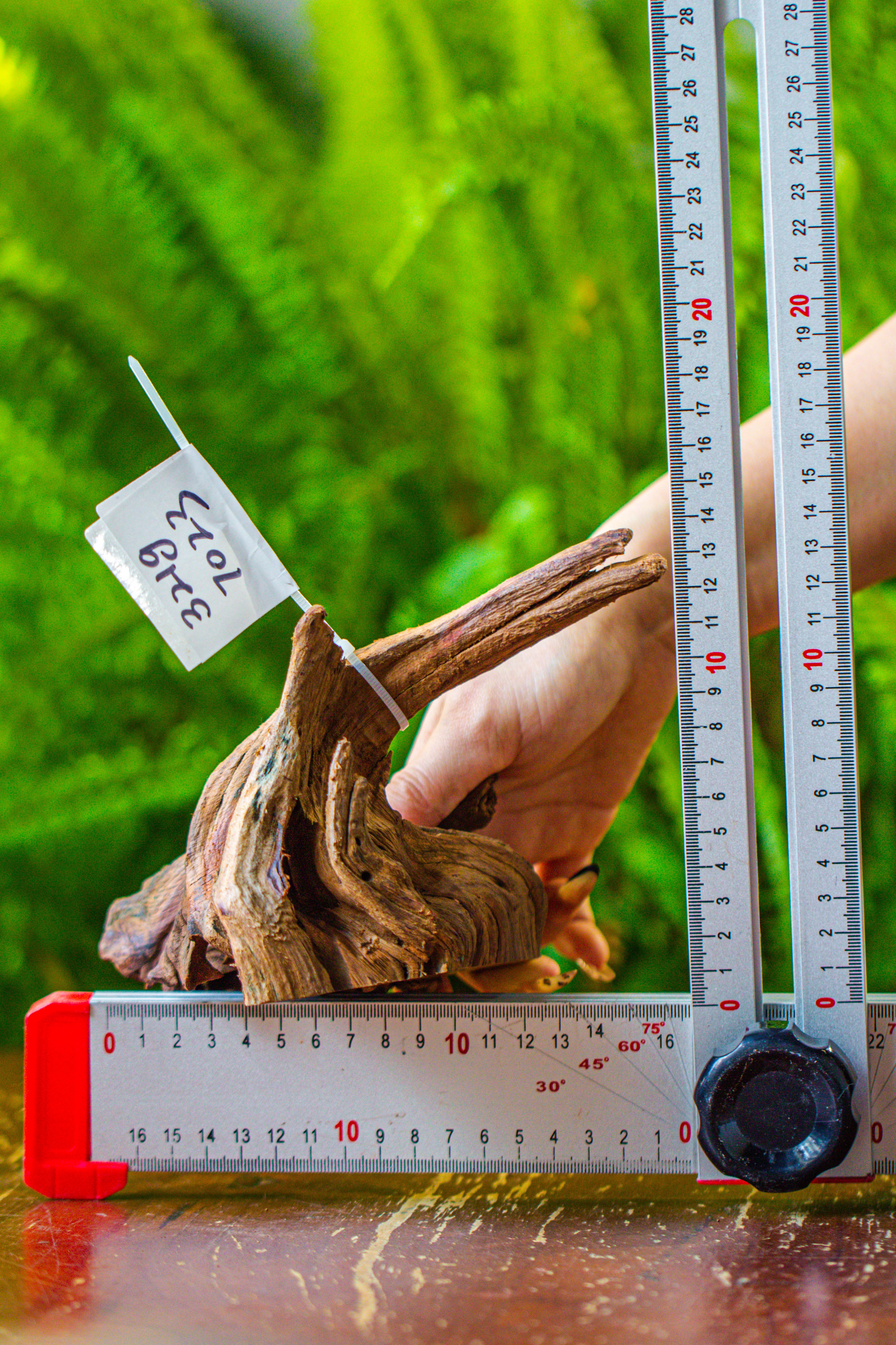 driftwood for moss terrarium, miniature, micro landscape, 7023 - NCYPgarden