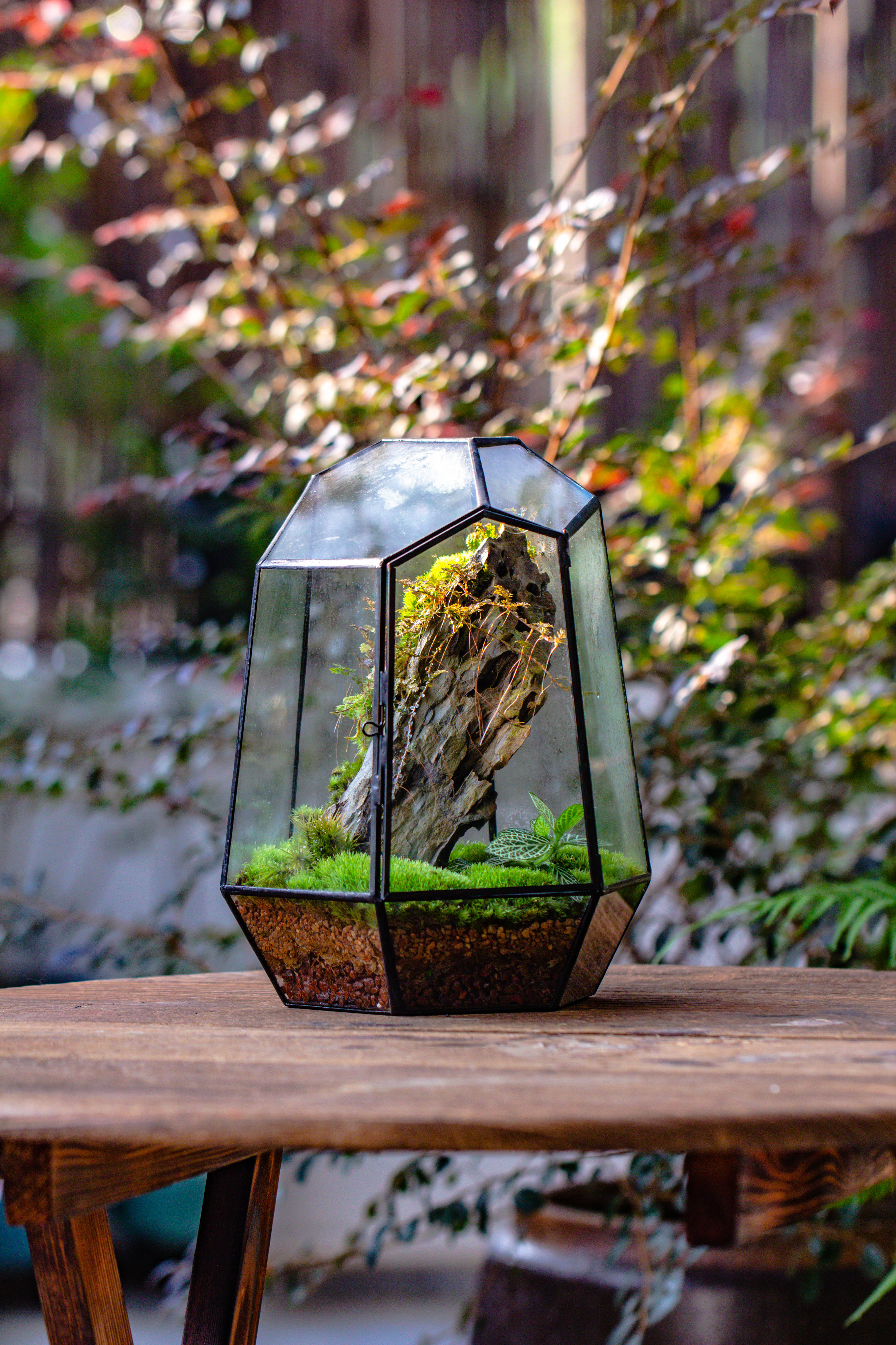 NCYP Large Close Geometric Glass Terrarium with Door, Tin Sealed Irregular Tall Planter for moss Flower Pot - NCYPgarden