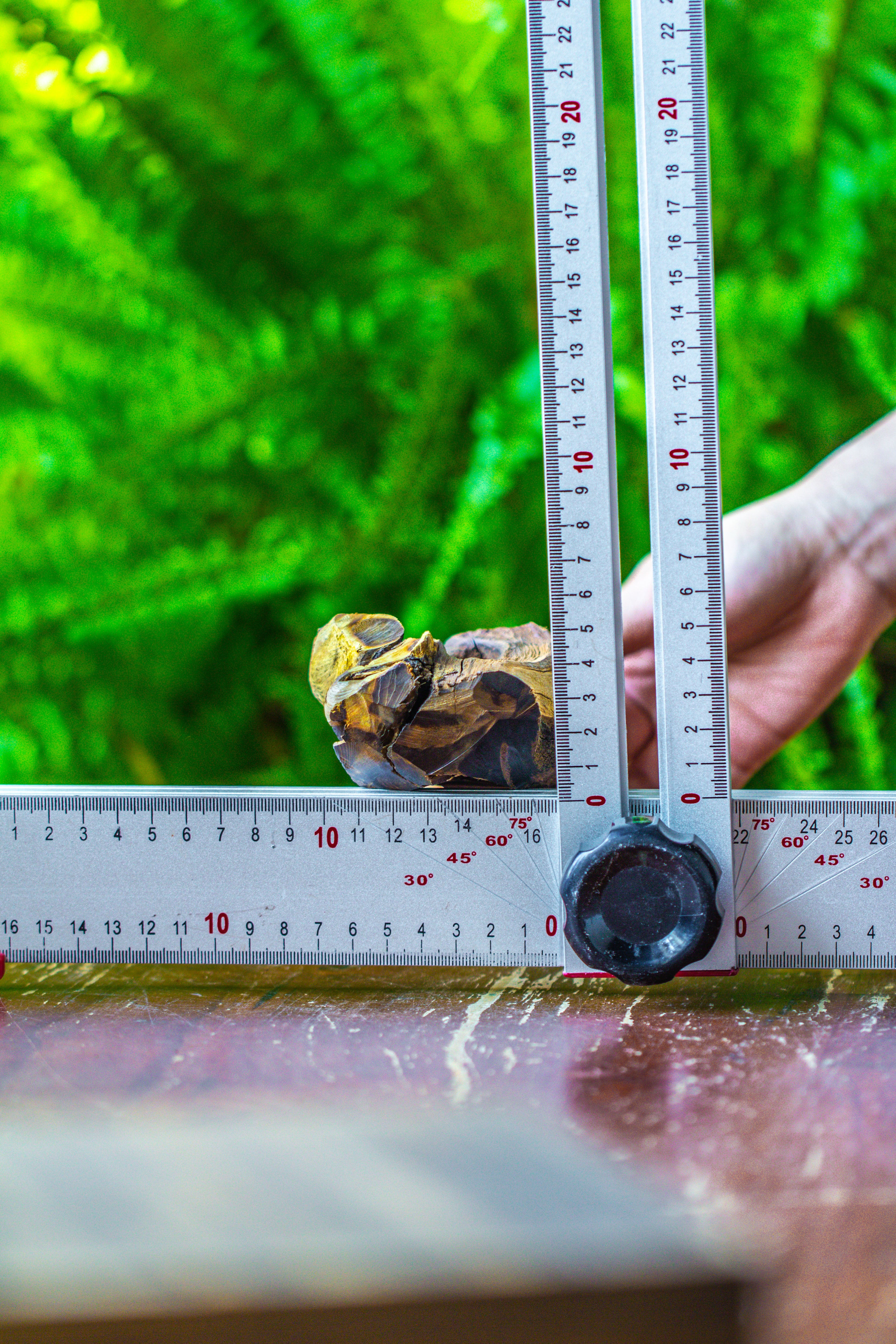 driftwood for moss terrarium, miniature, micro landscape, 7019 - NCYPgarden
