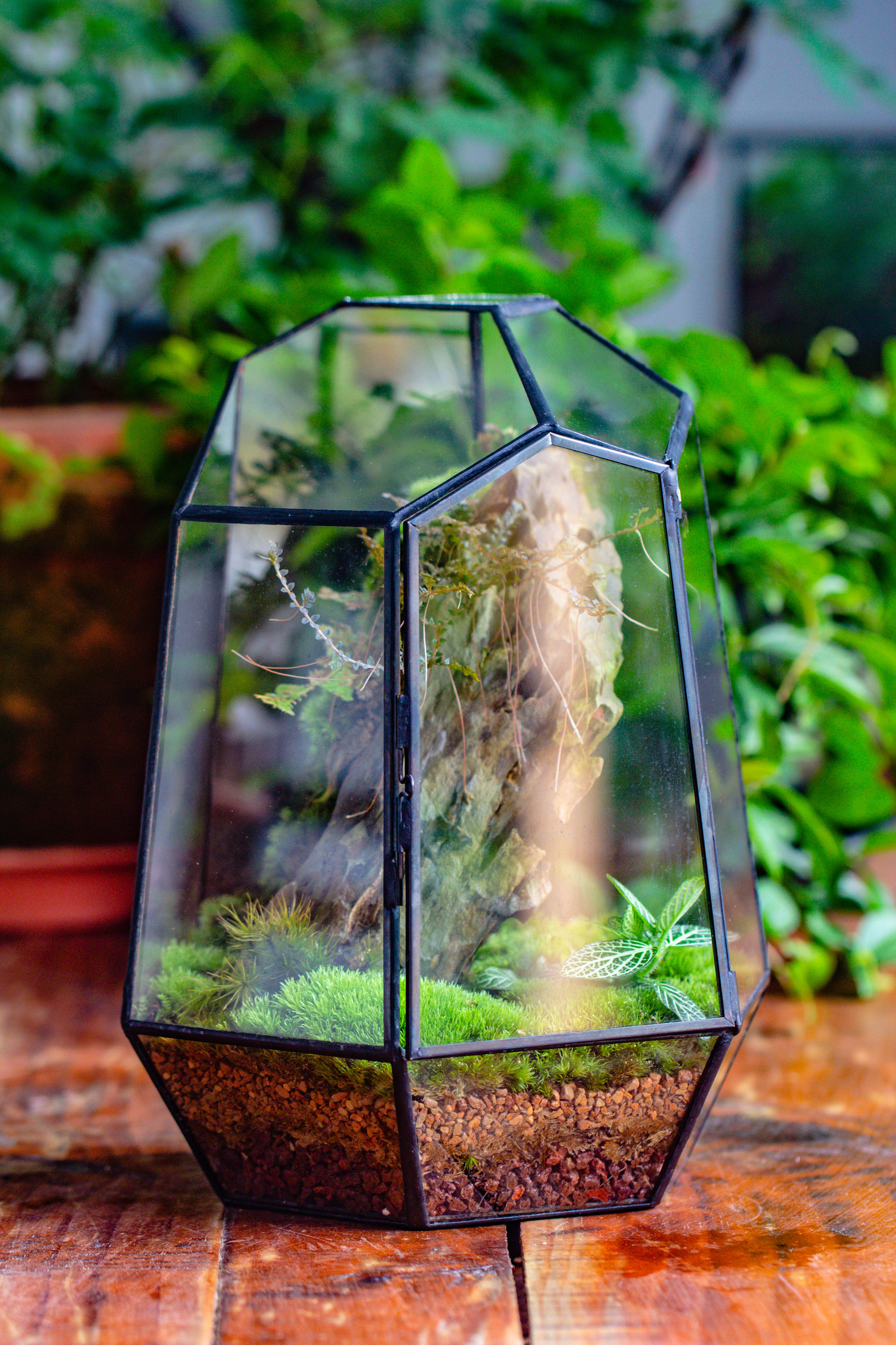 NCYP Large Close Geometric Glass Terrarium with Door, Tin Sealed Irregular Tall Planter for moss Flower Pot - NCYPgarden