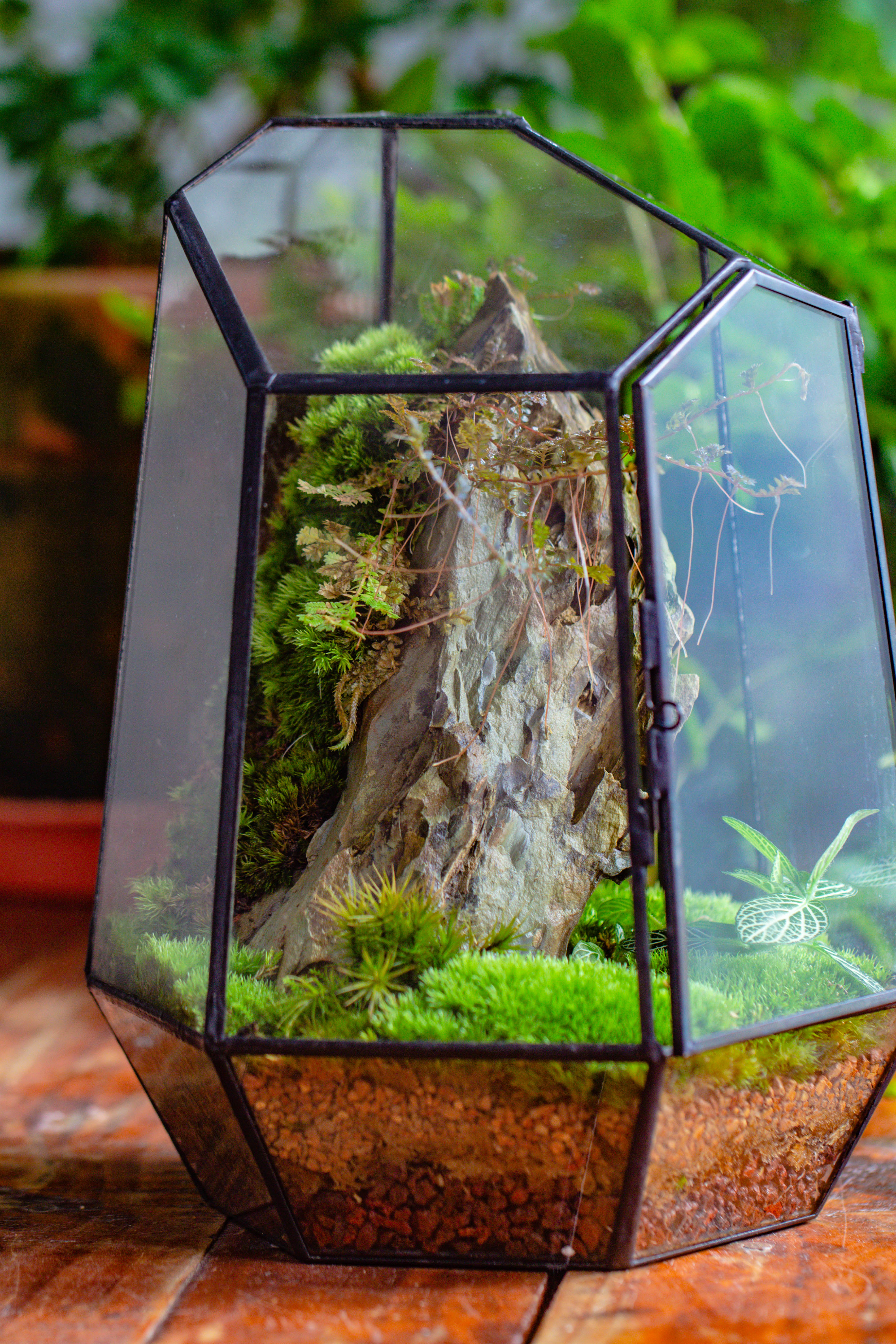 NCYP Large Close Geometric Glass Terrarium with Door, Tin Sealed Irregular Tall Planter for moss Flower Pot - NCYPgarden