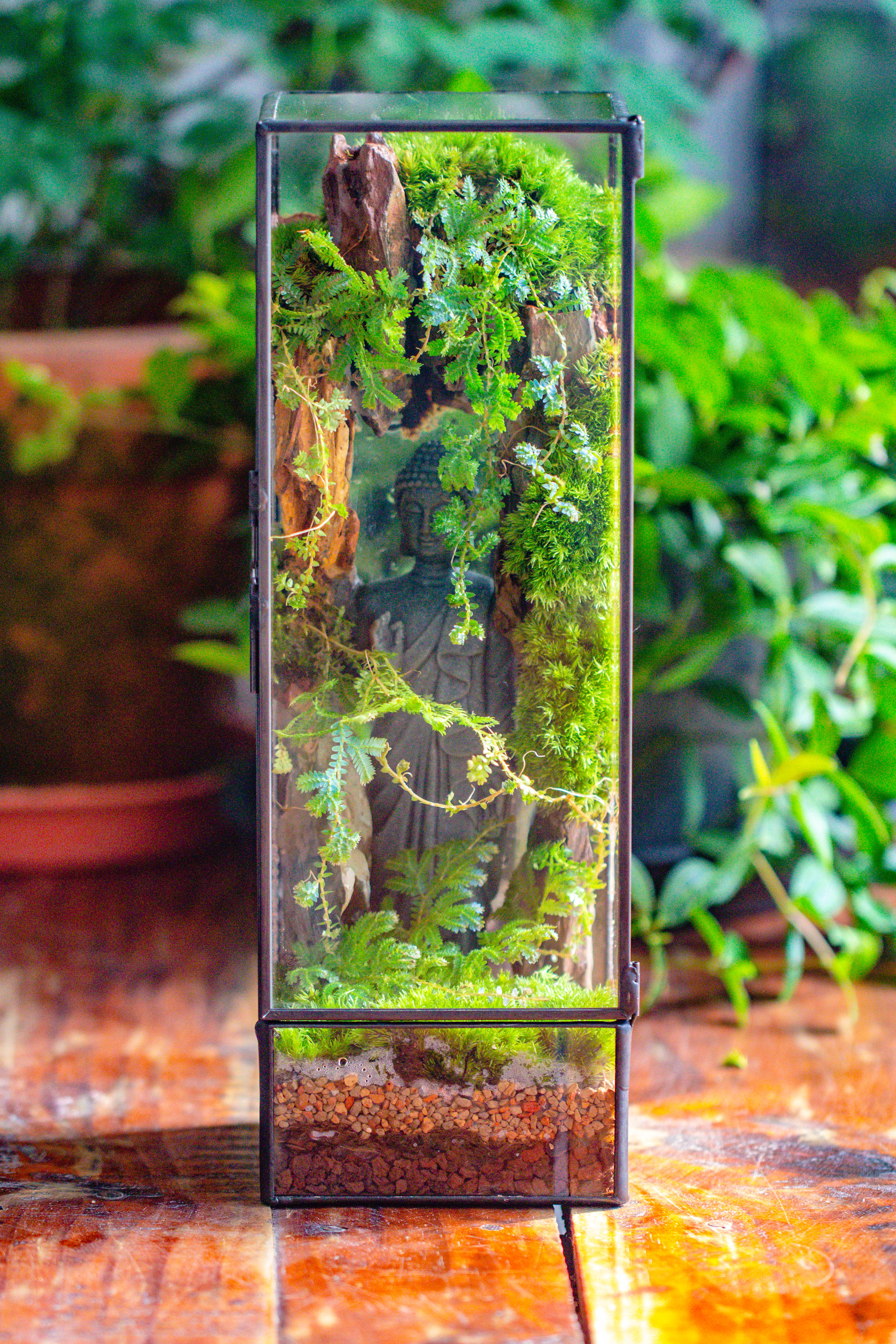 NCYP Close 11.8" Tall Geometric Glass Terrarium with Door DIY set, with Buddha, Dragon rocks, Planting Materials - NCYPgarden