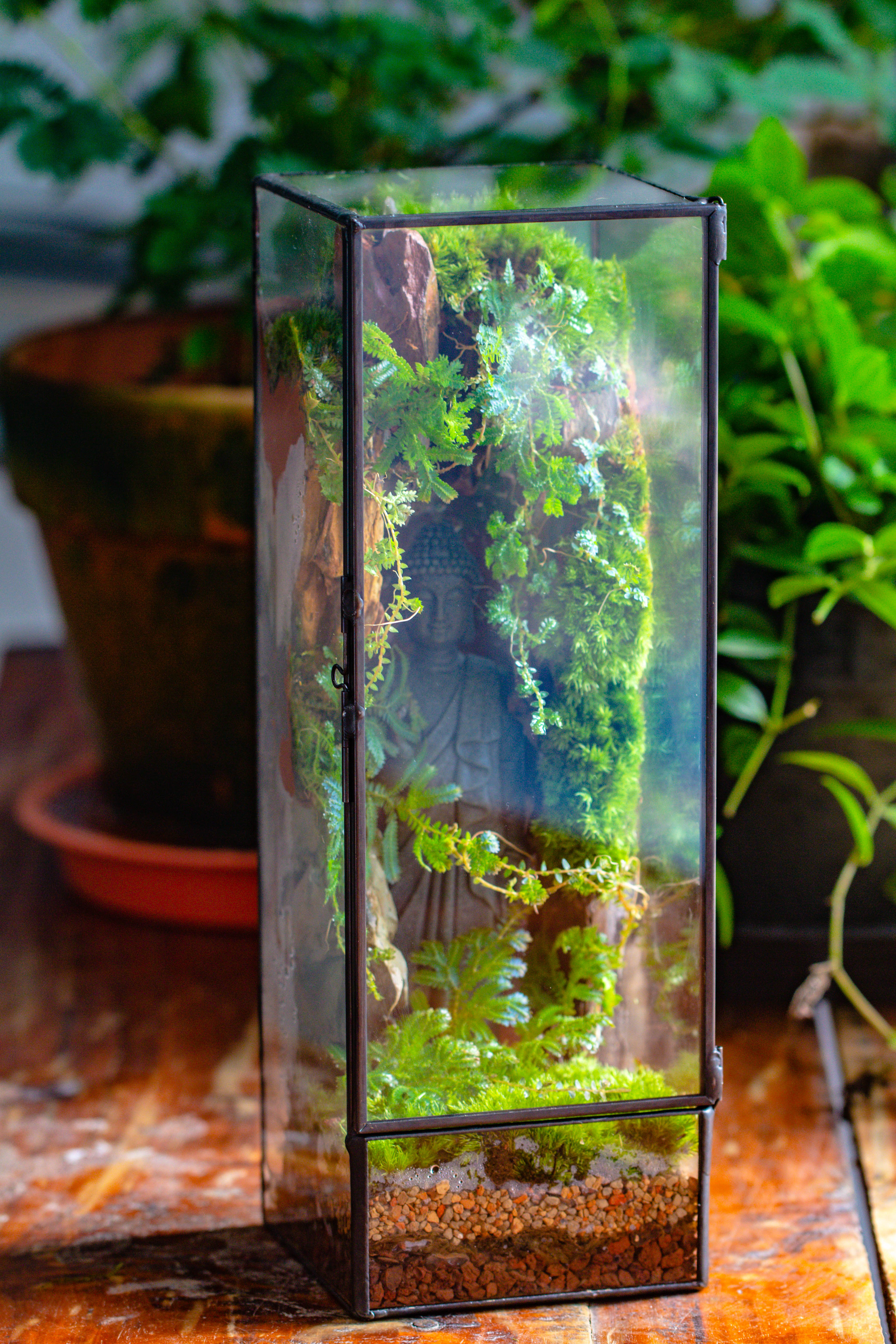 NCYP Close 11.8" Tall Geometric Glass Terrarium with Door DIY set, with Buddha, Dragon rocks, Planting Materials - NCYPgarden