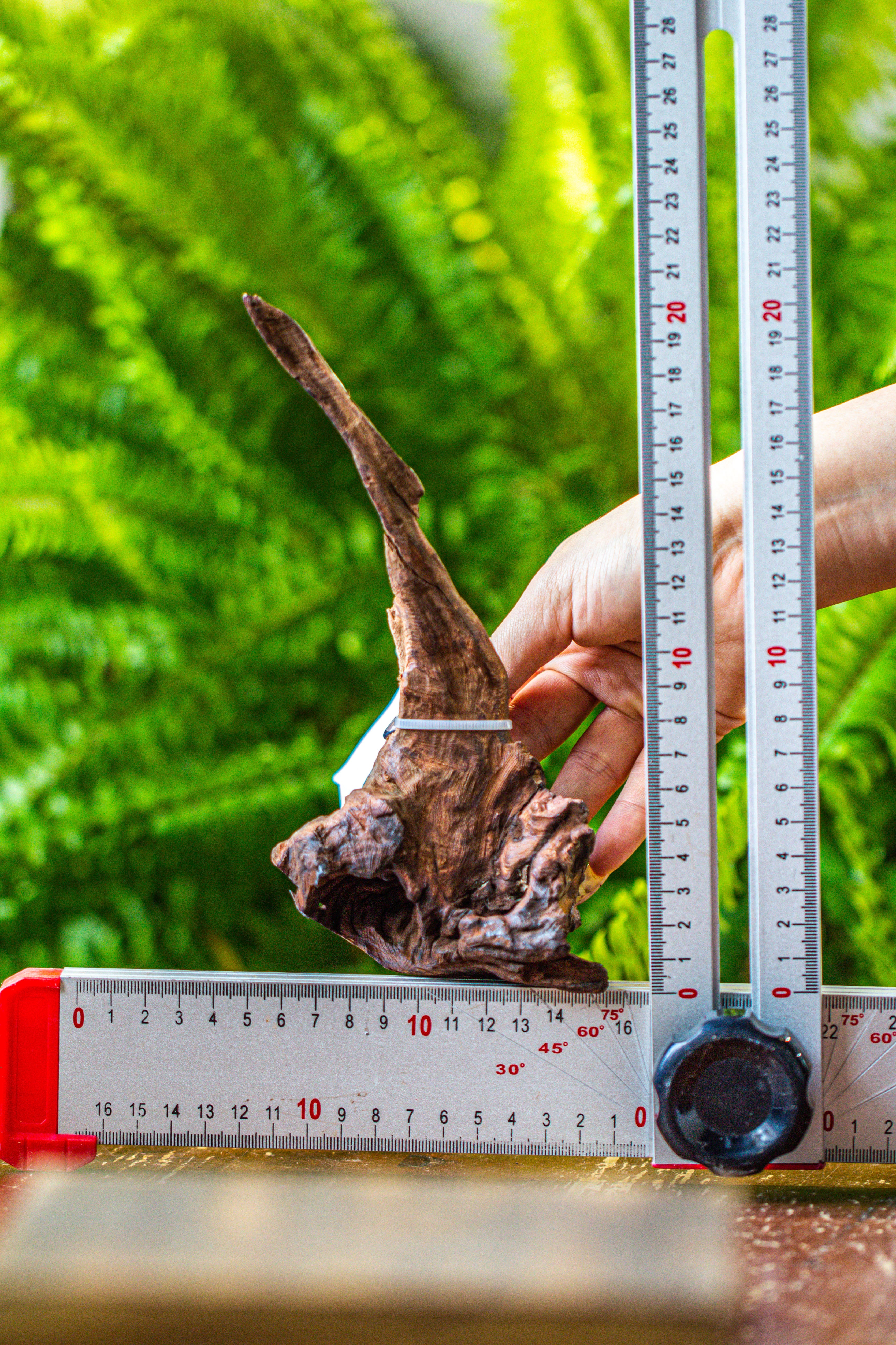 driftwood for moss terrarium, miniature, micro landscape, 7034 - NCYPgarden