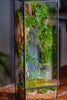 NCYP Close 11.8" Tall Geometric Glass Terrarium with Door DIY set, with Buddha, Dragon rocks, Planting Materials - NCYPgarden