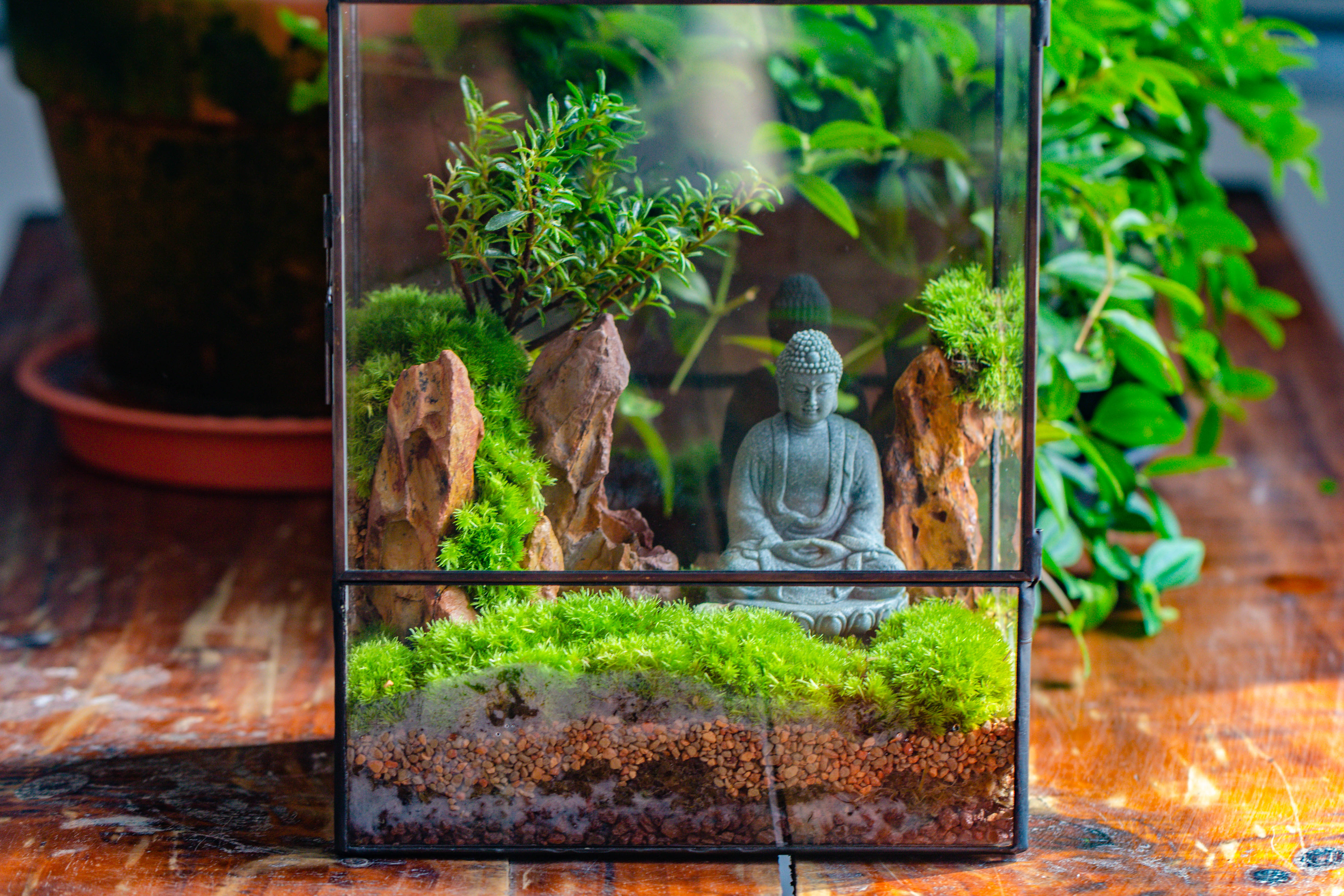 Close Geometric Glass Tin Terrarium , 8x10" and Buddha, rock, Micro Landscape Moss Terrarium Building DIY set No plants, Customizable - NCYPgarden